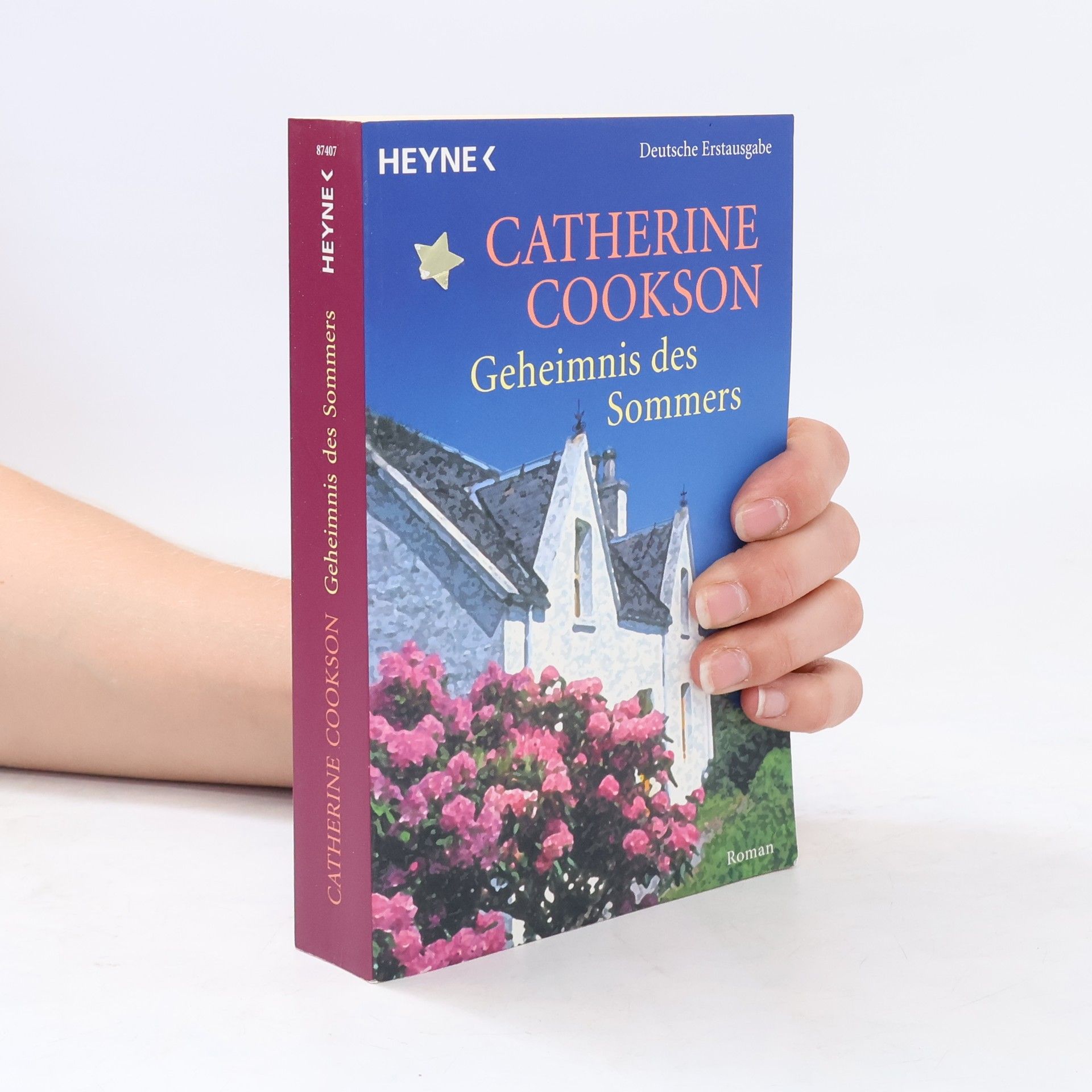 Catherine Cookson Geheimnis des Sommers