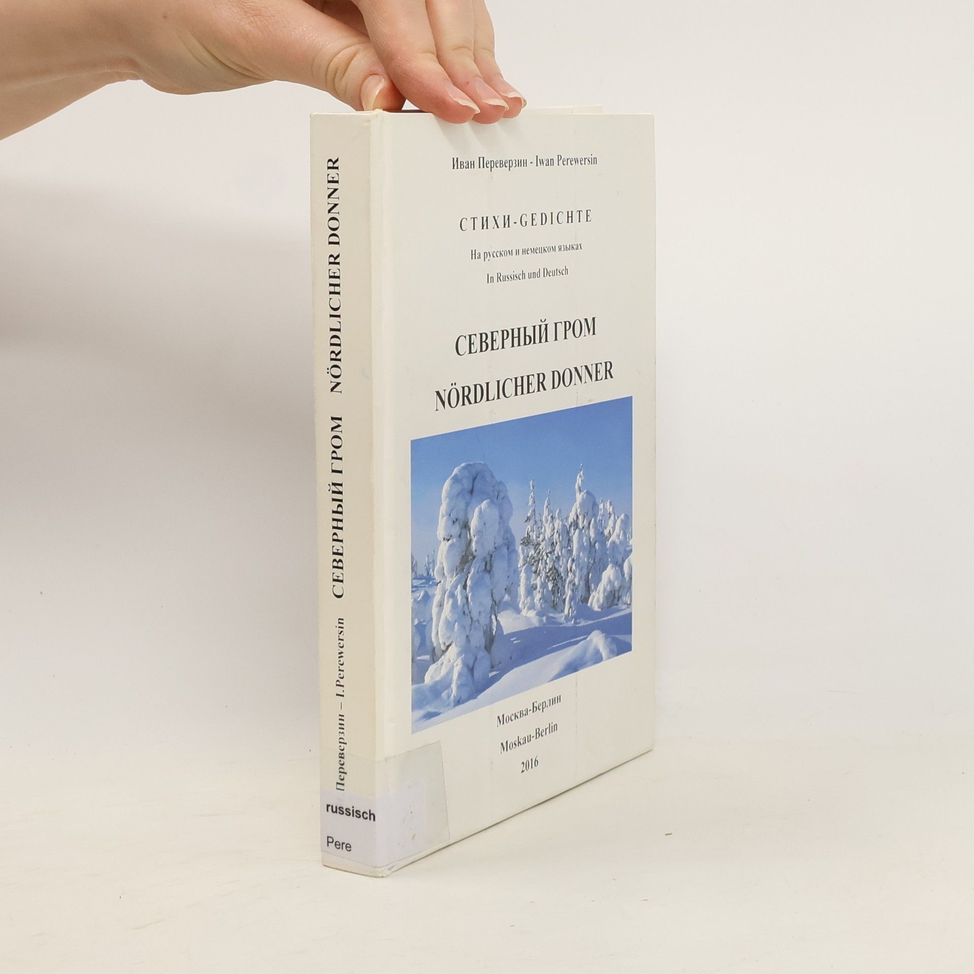 Ivan Ivanovic Pereverzin Severnyj grom