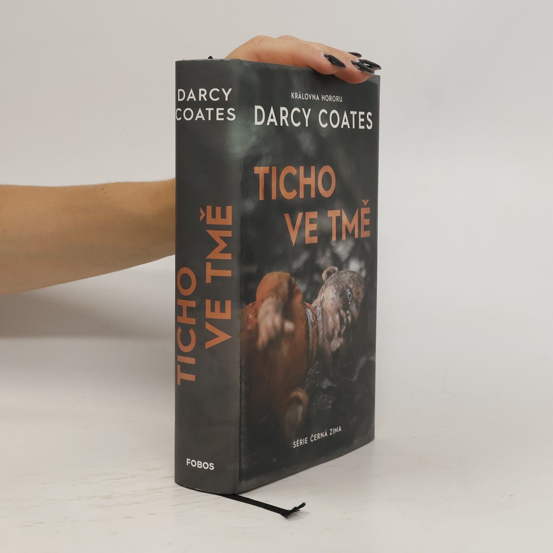 Darcy Coates Ticho ve tmě