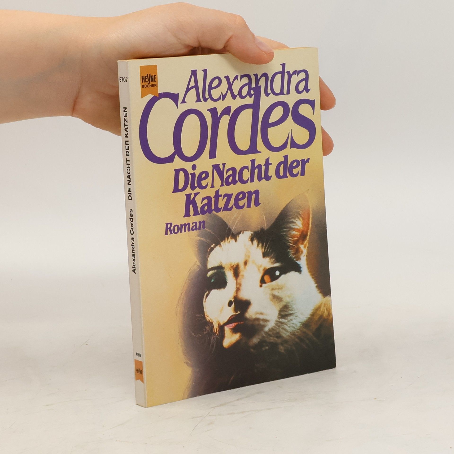 Alexandra Cordes Die Nacht der Katzen