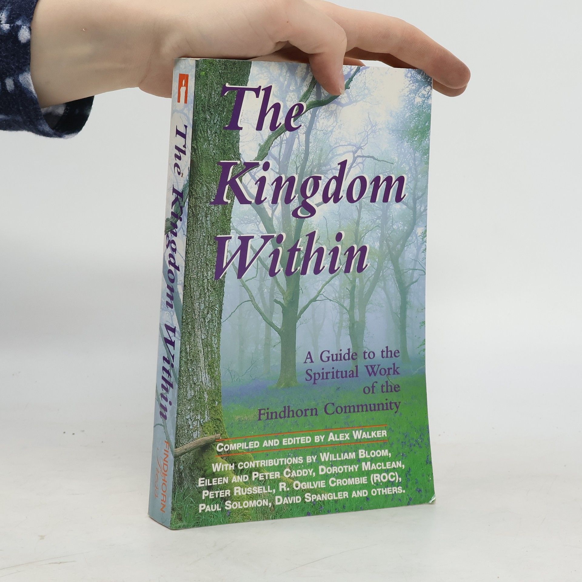 Alex Walker The Kingdom Within