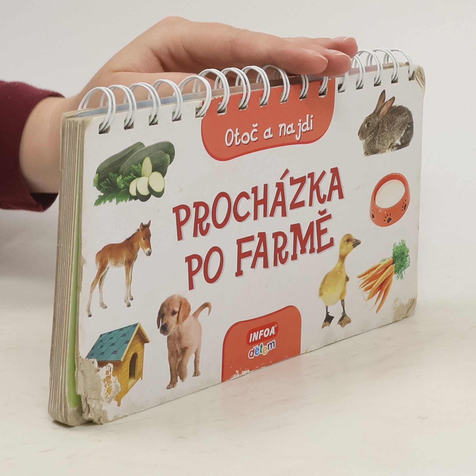 Kolektiv autorů Procházka po farmě