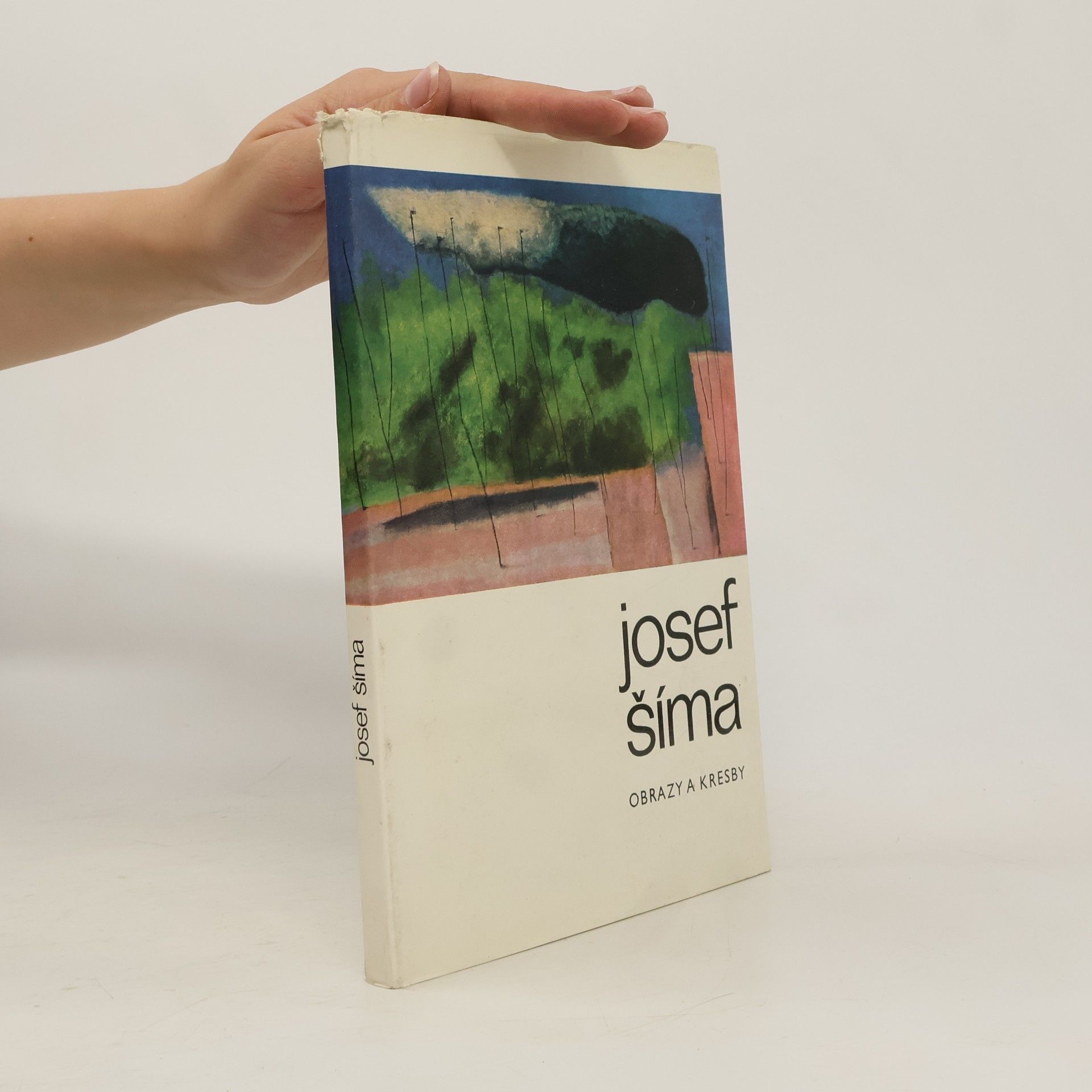 Collectif d'auteurs Josef Šíma. Obrazy a kresby