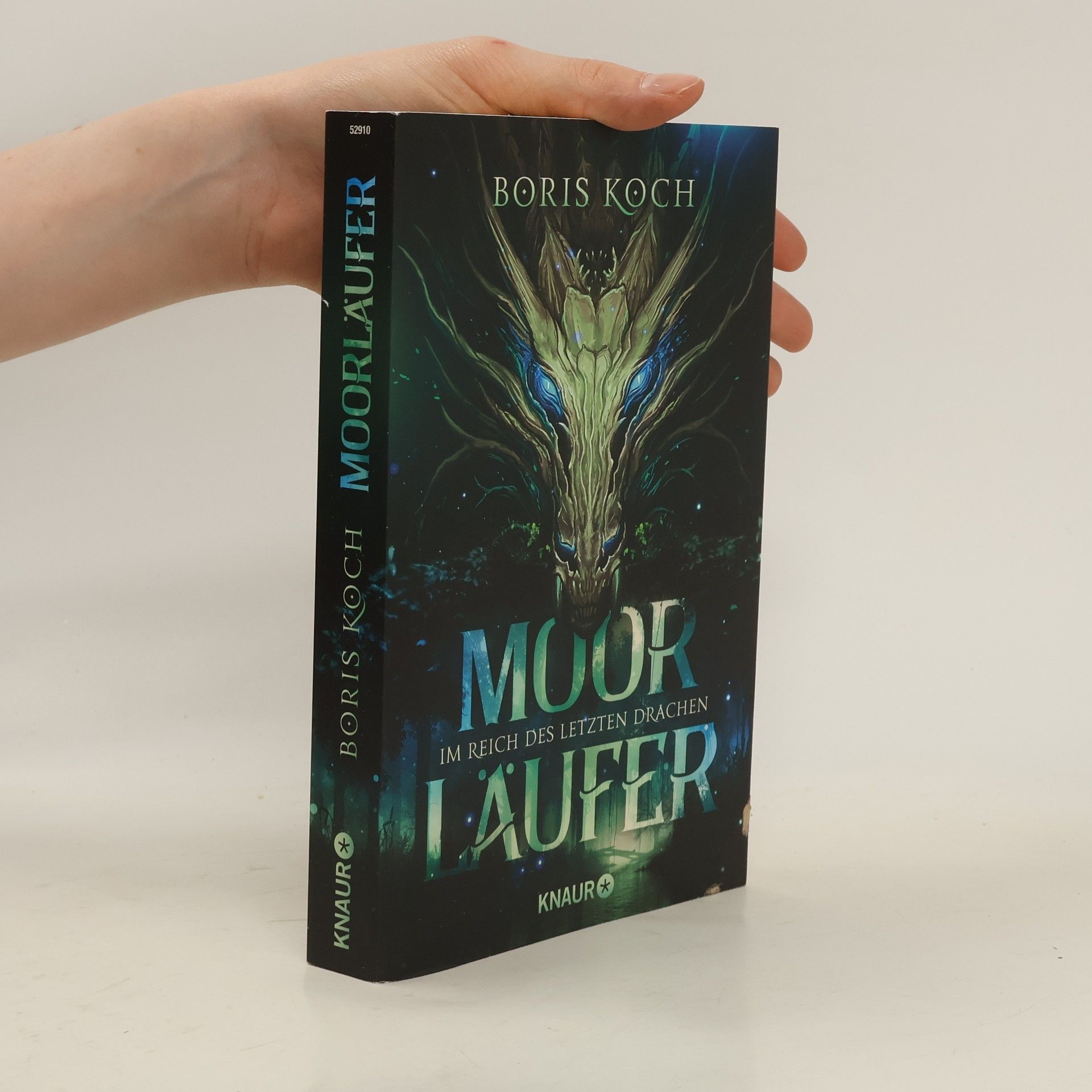 Boris Koch Moorläufer. Im Reich des letzten Drachen