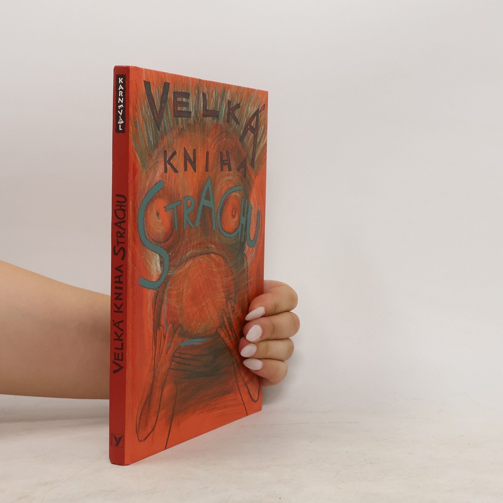 Veronika Bohatá Velká kniha strachu