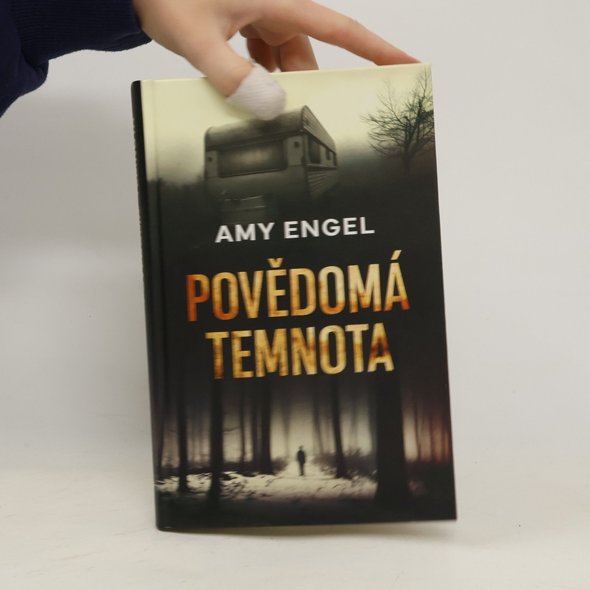 Amy Engel Povědomá temnota
