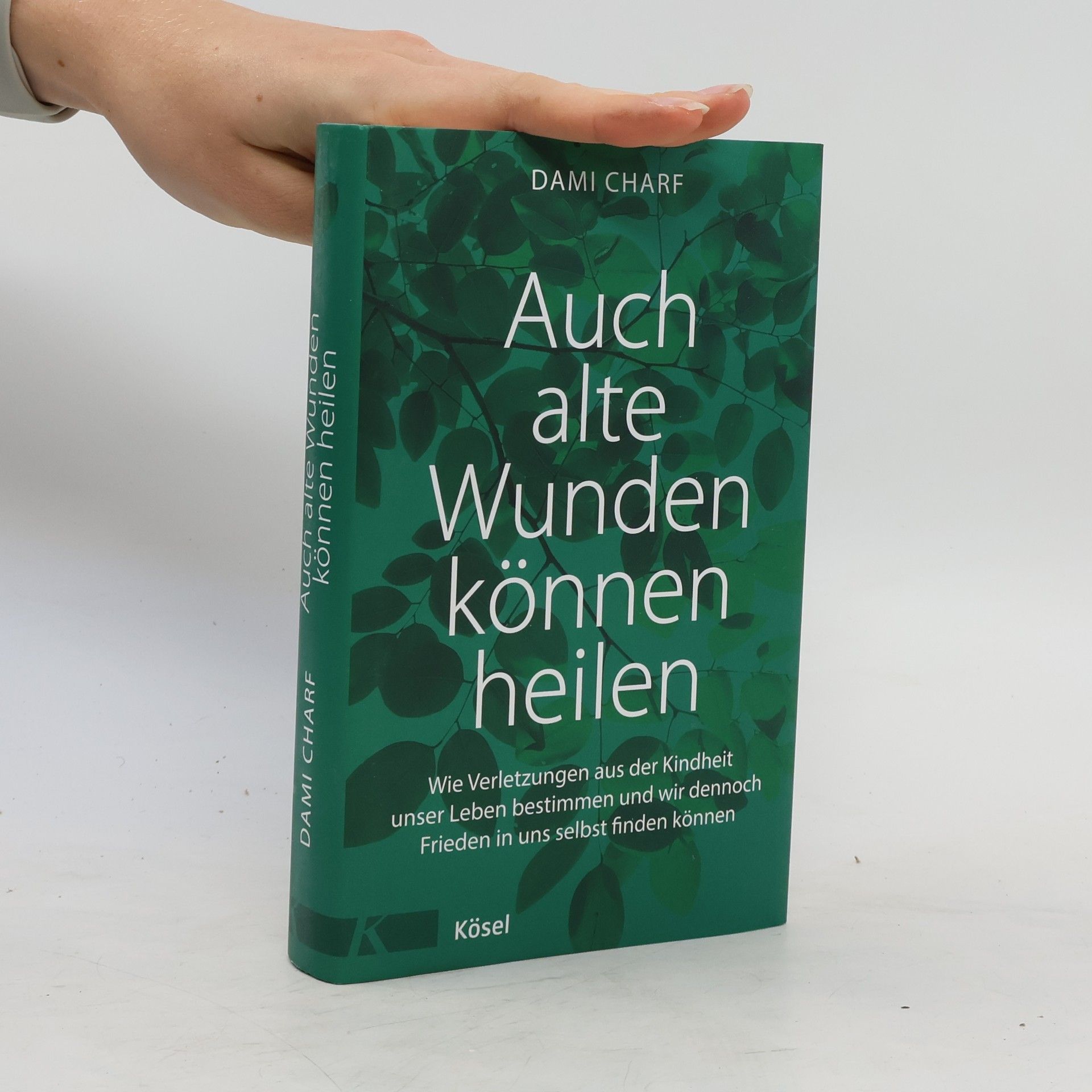 Dami Charf Auch alte Wunden können heilen
