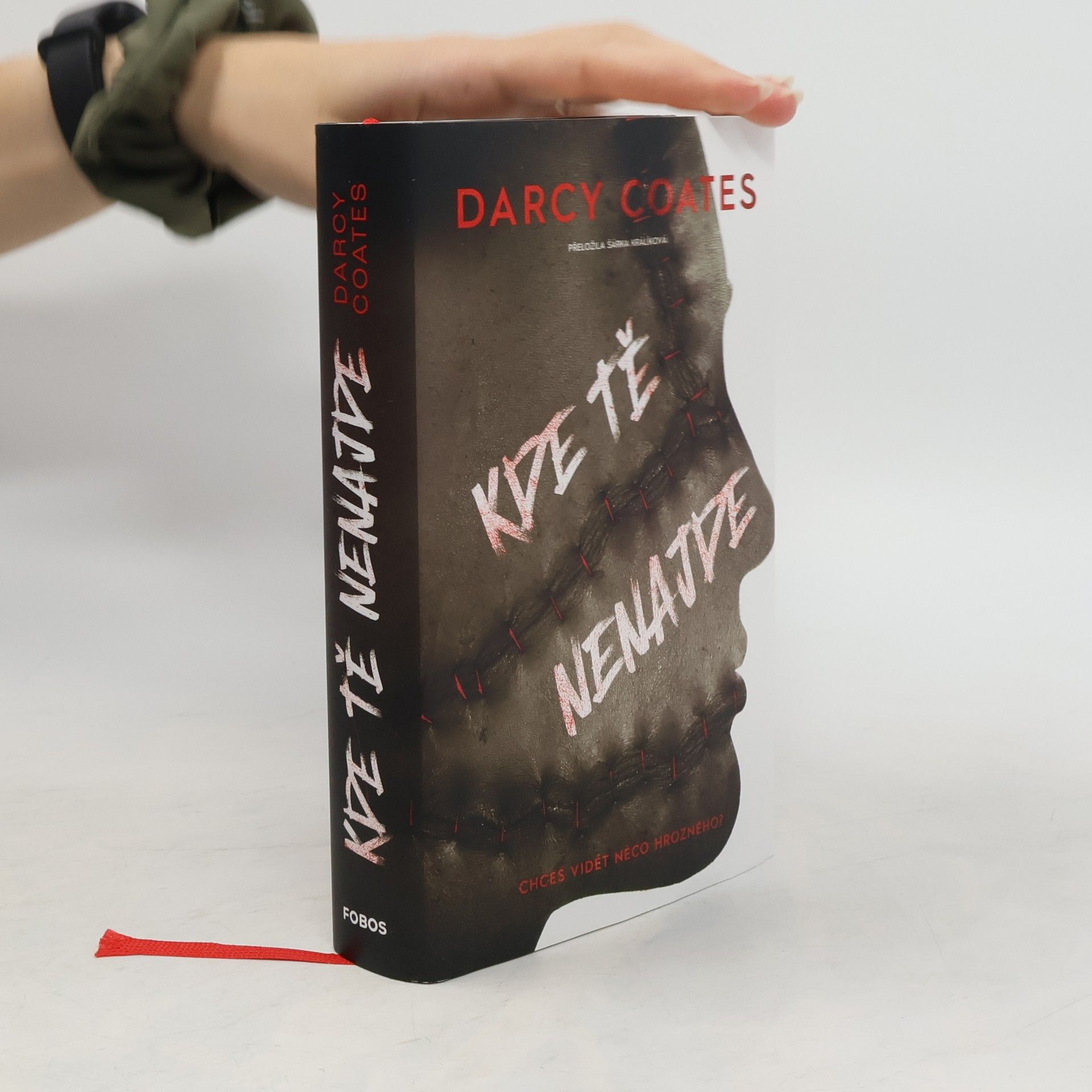 Darcy Coates Kde tě nenajde