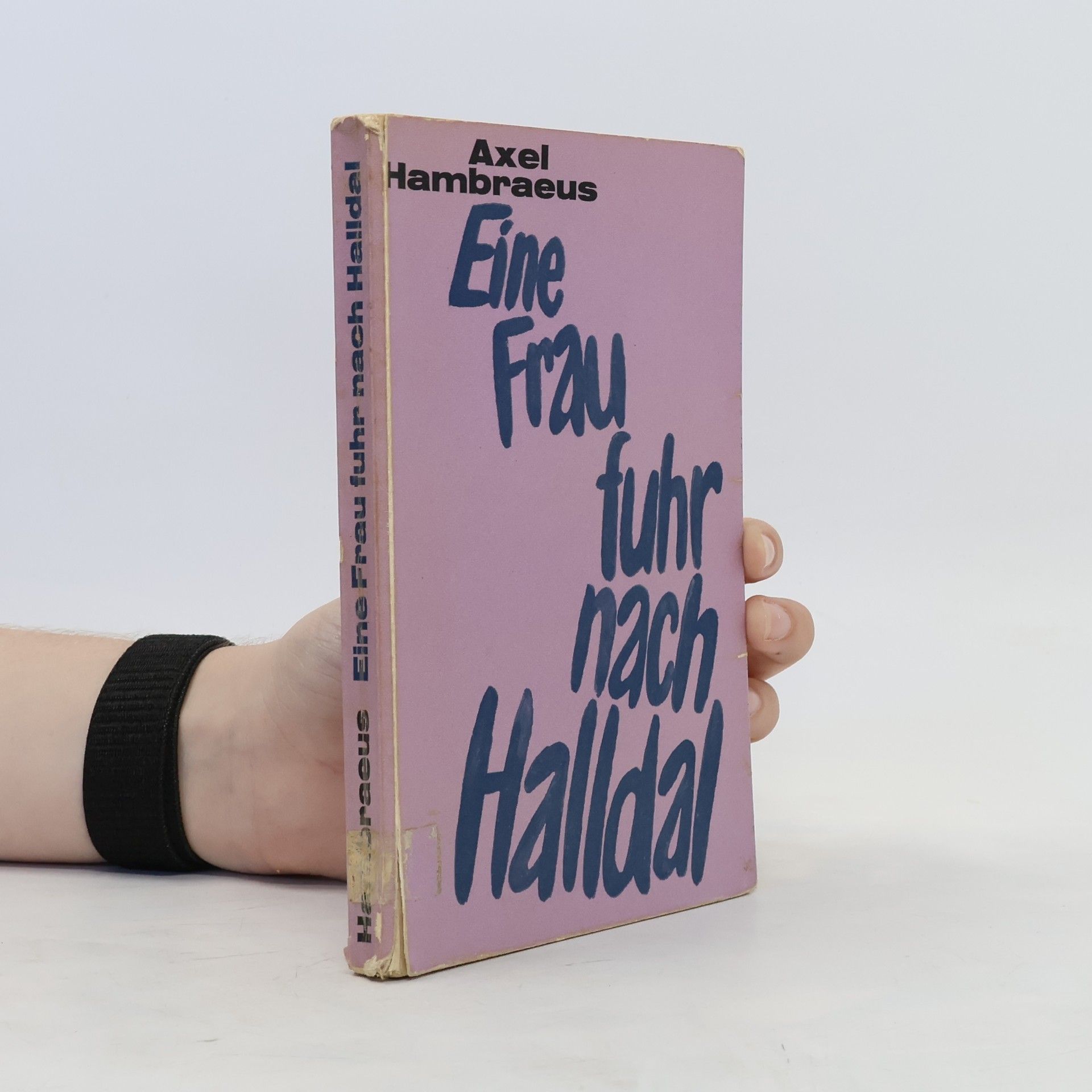 Axel Hambræus Eine Frau fuhr nach Halldal