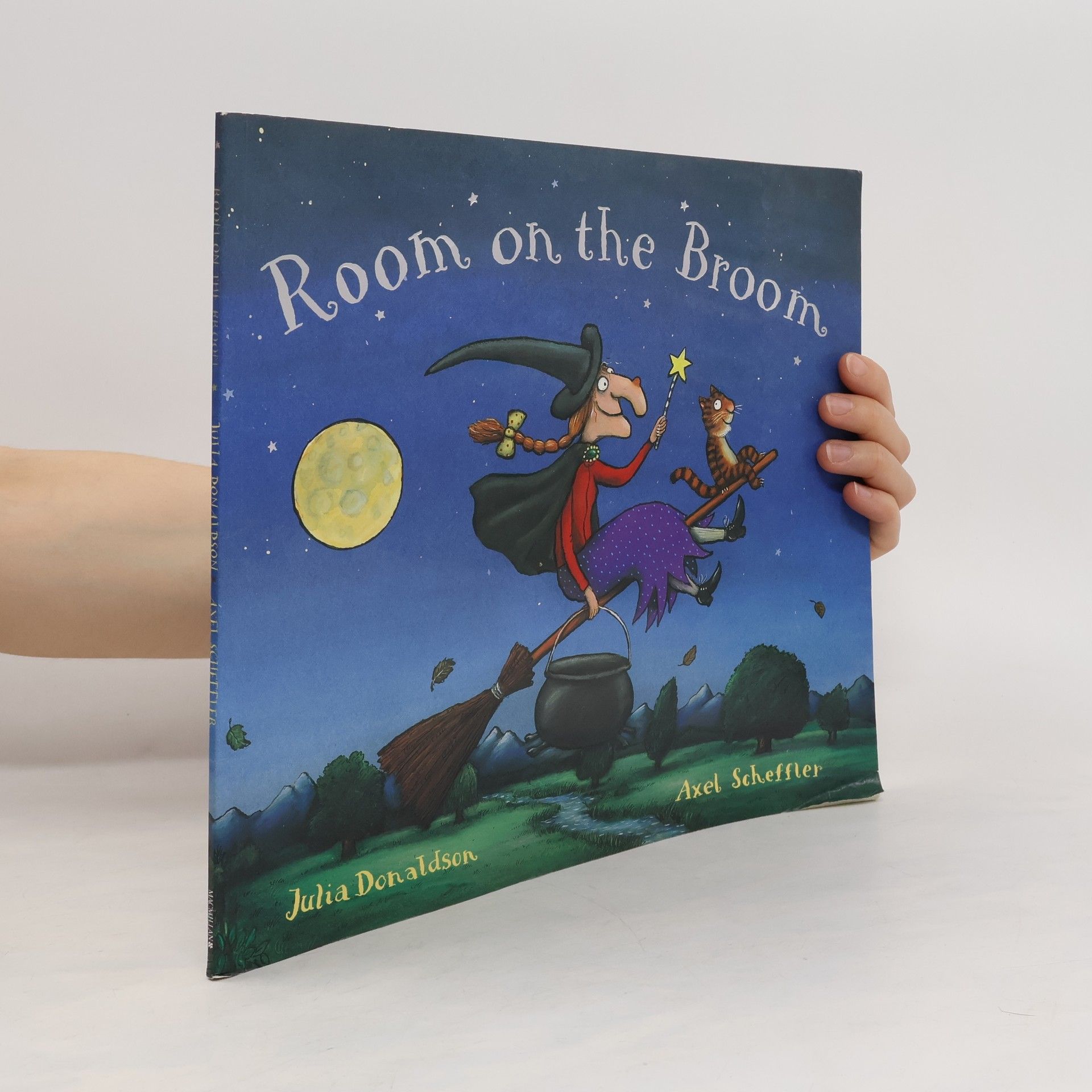 Julia Donaldson Room on the broom