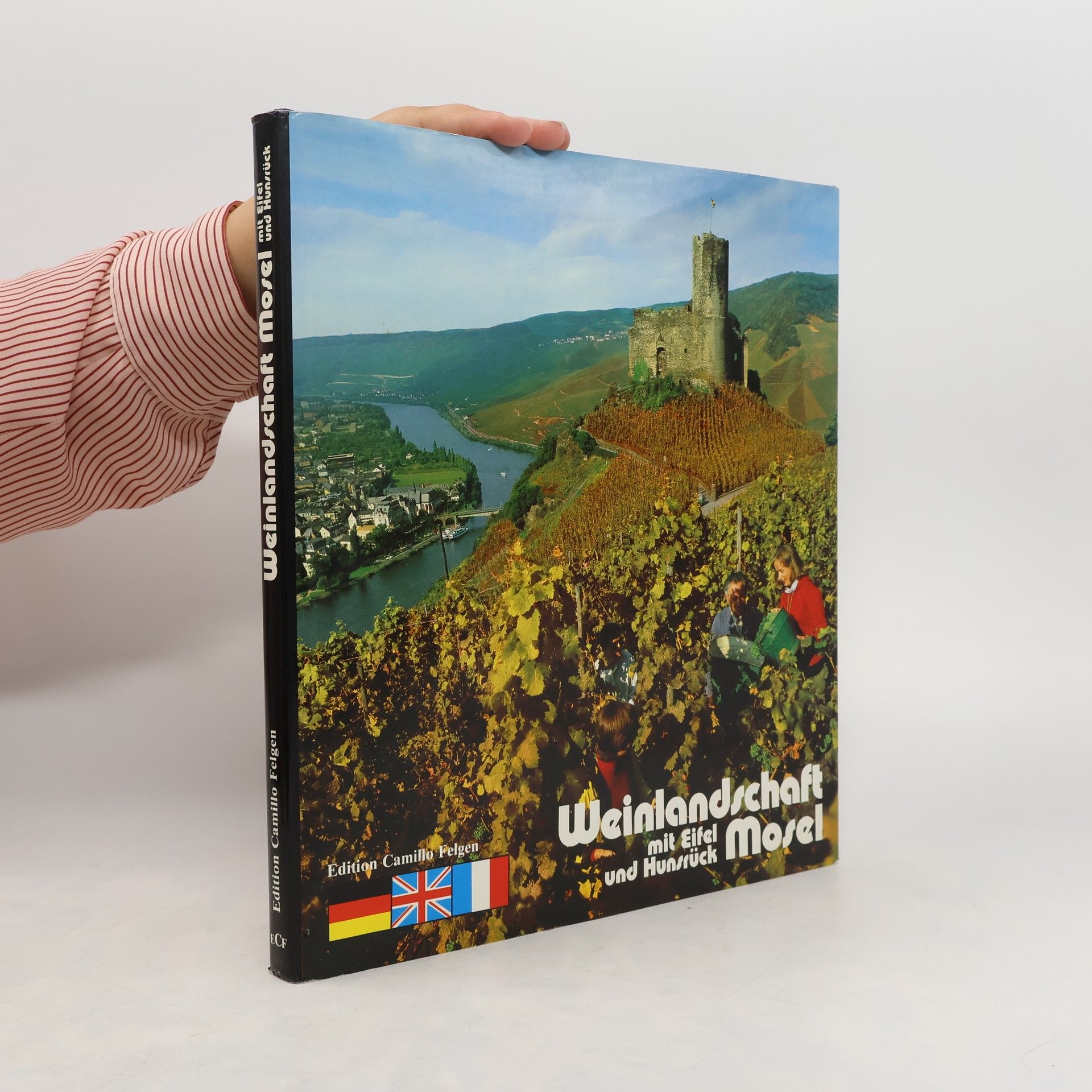 Wolfgang Segschneider Weinlandschaft Mosel