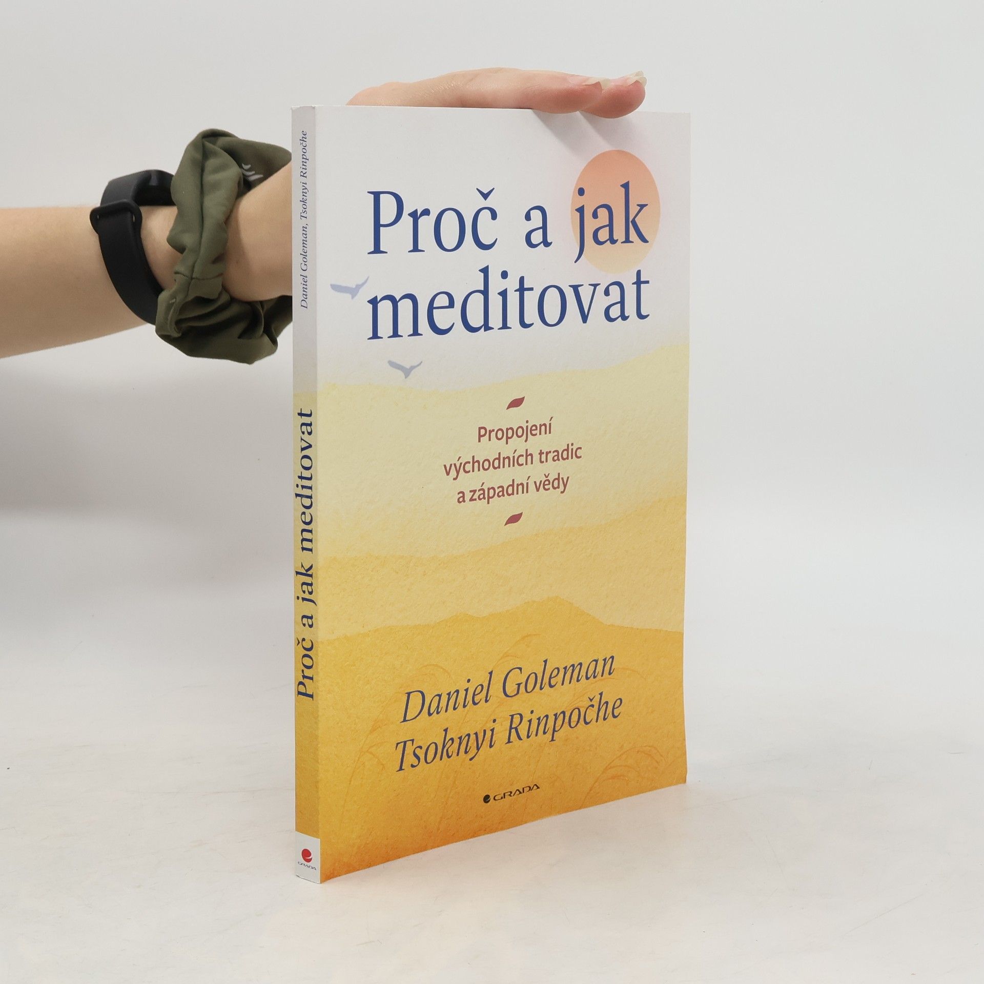 Daniel Goleman Proč a jak meditovat : propojení východních tradic a západní vědy