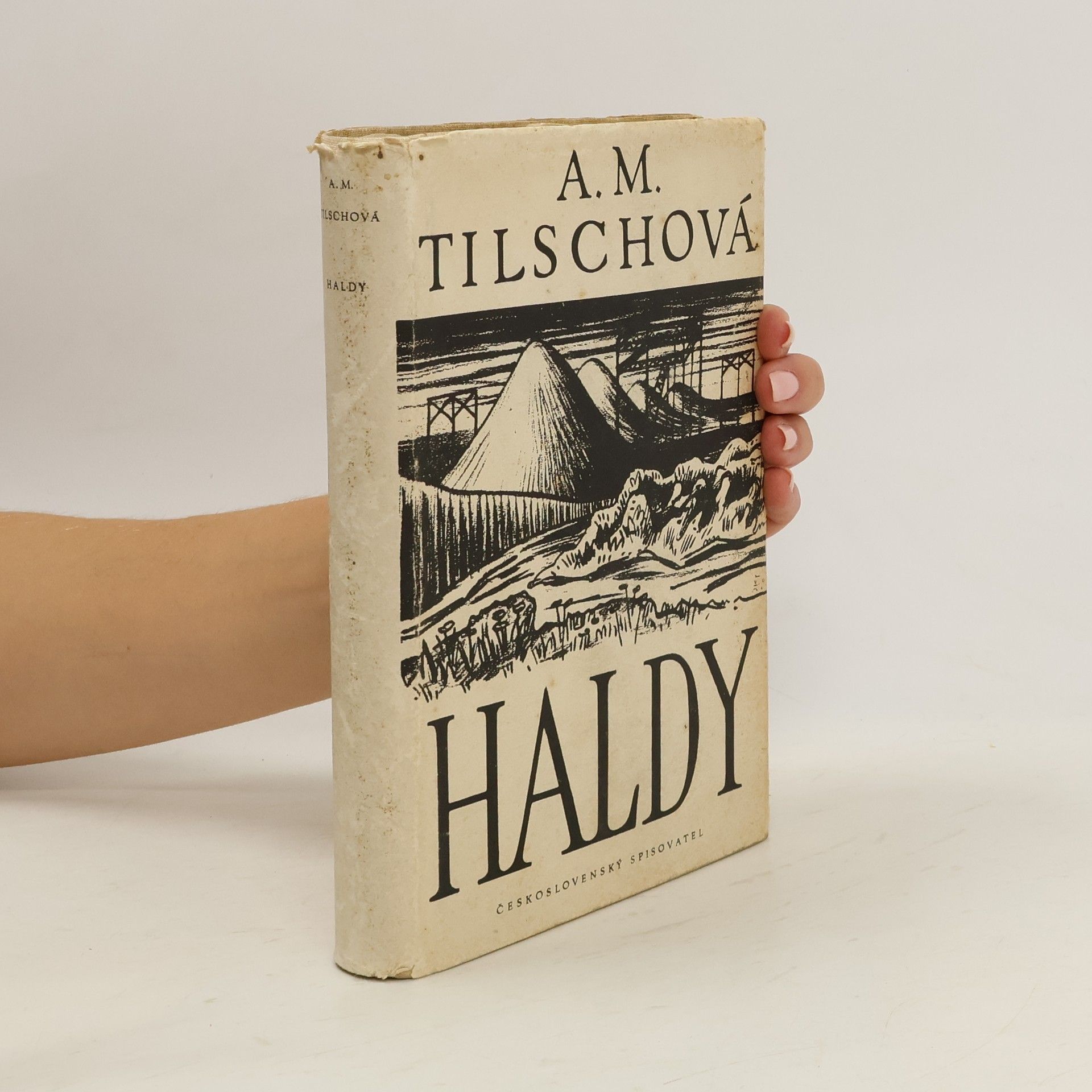 Anna Marie Tilschová Haldy. Svazek VII