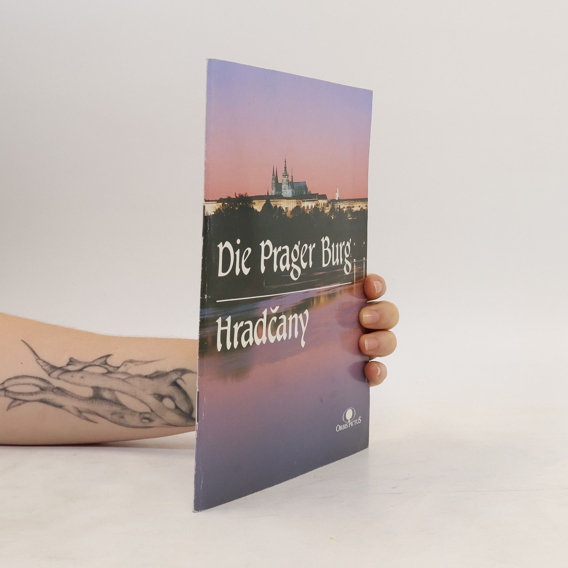 Jan Royt Die Prager Burg, Hradčany