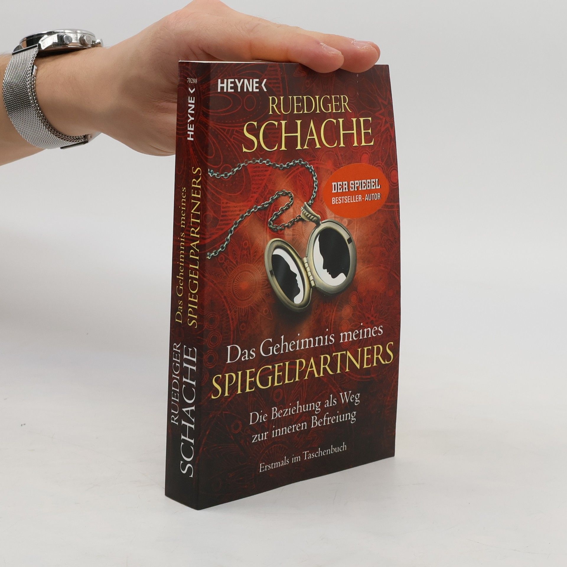 Ruediger Schache Das Geheimnis meines Spiegelpartners
