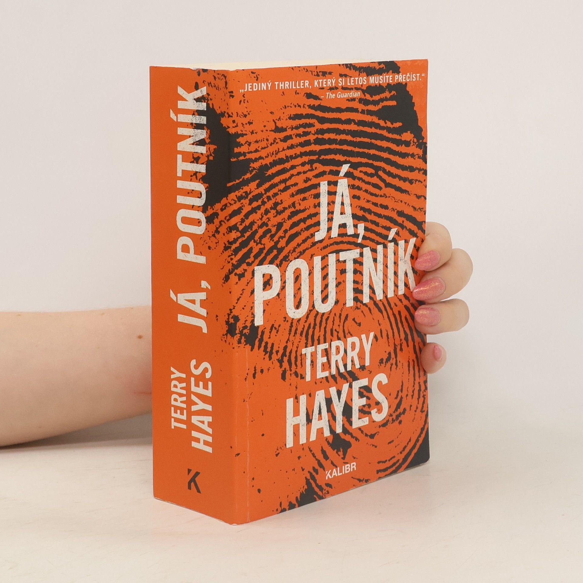 Terry Hayes Já, Poutník