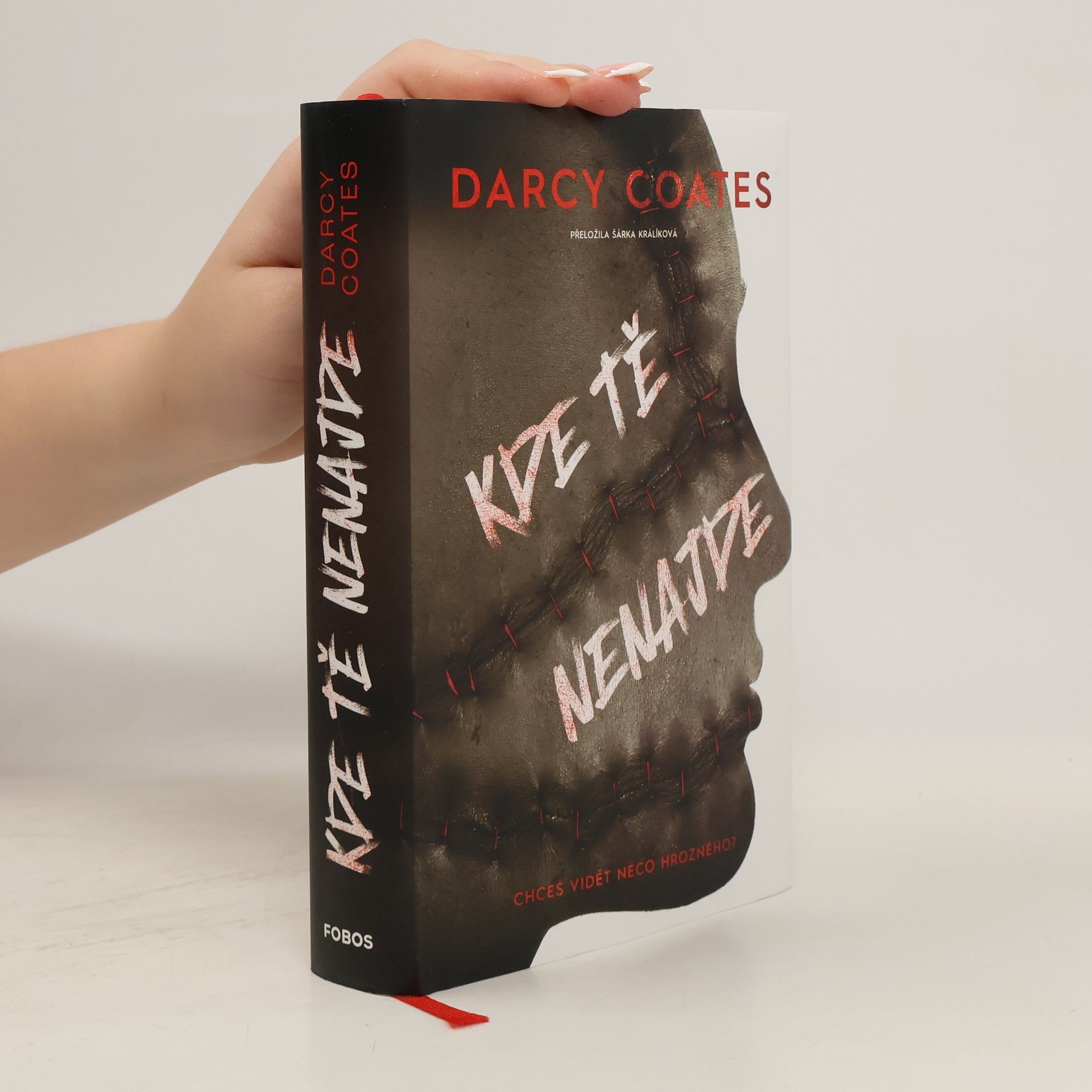 Darcy Coates Kde tě nenajde