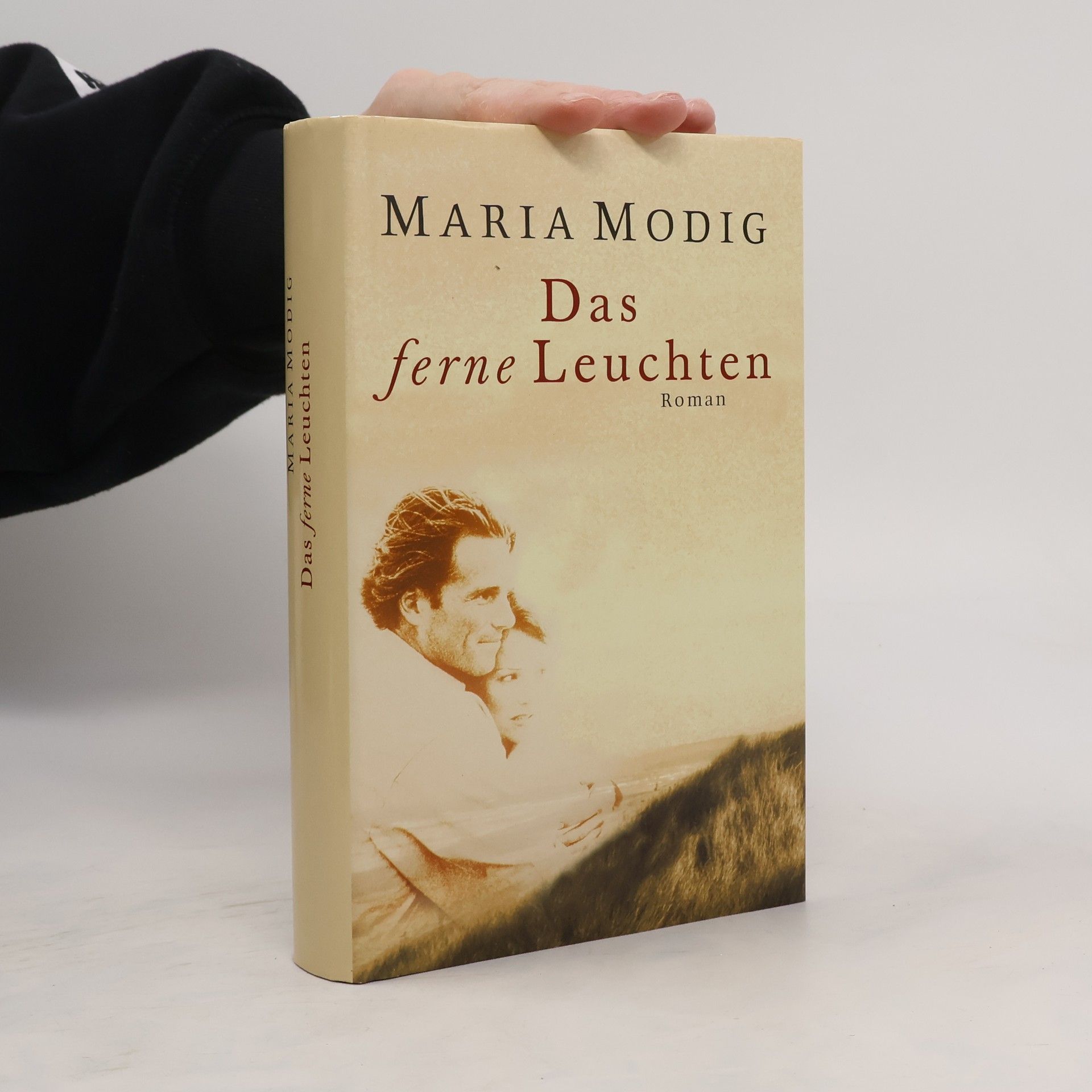 Maria Modig Das ferne Leuchten