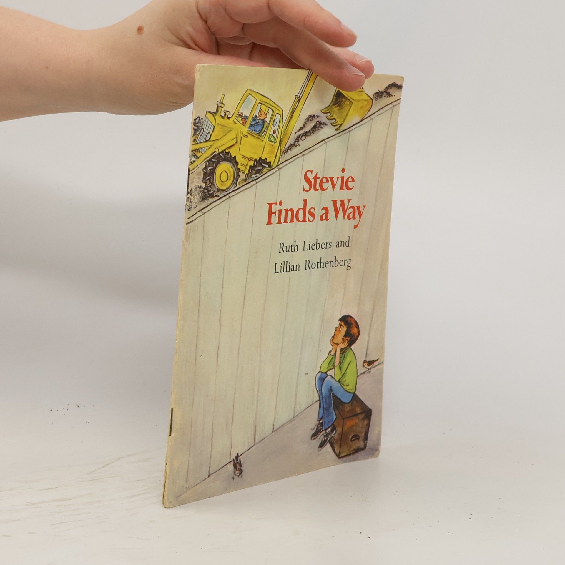 Ruth Liebers Stevie Finds a Way