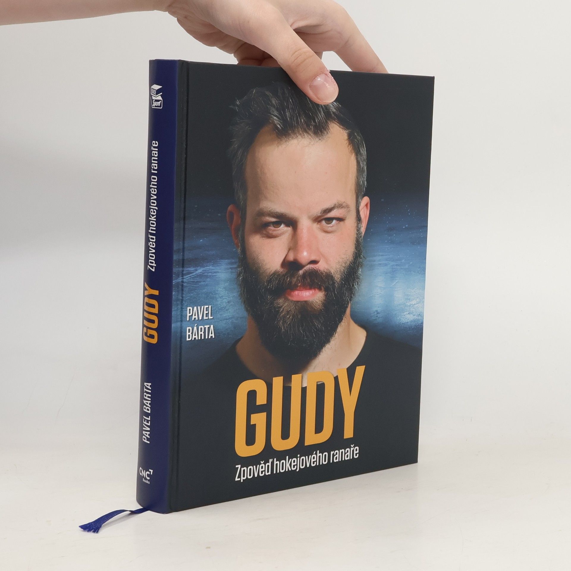 Pavel Bárta Gudy