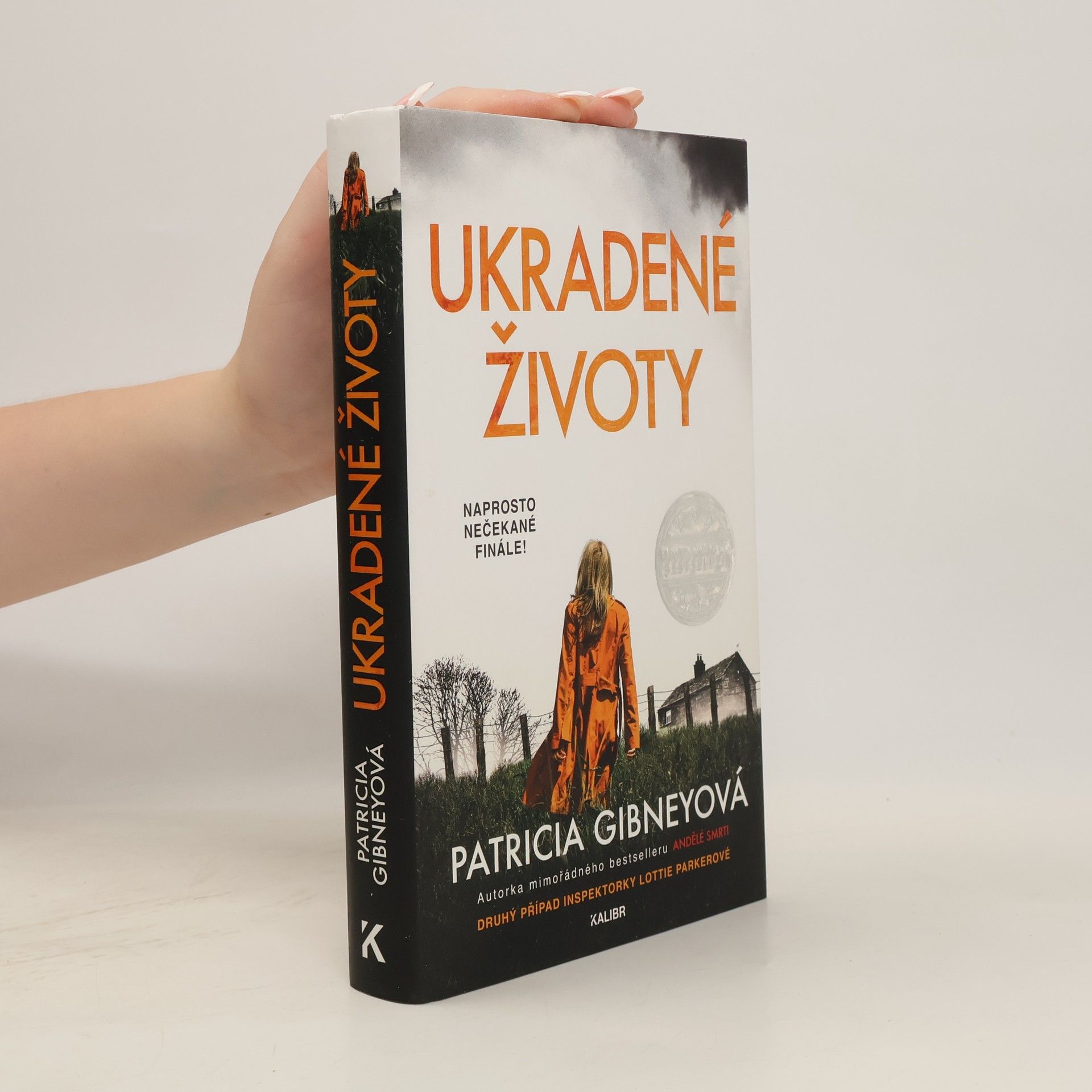 Patricia Gibney Ukradené životy