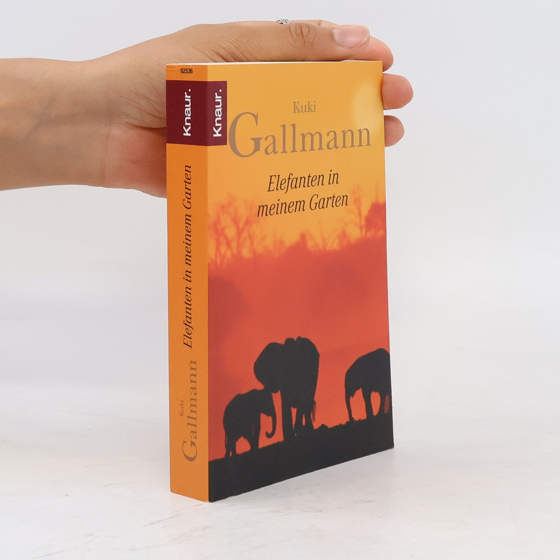 Kuki Gallmann Elefanten in meinem Garten