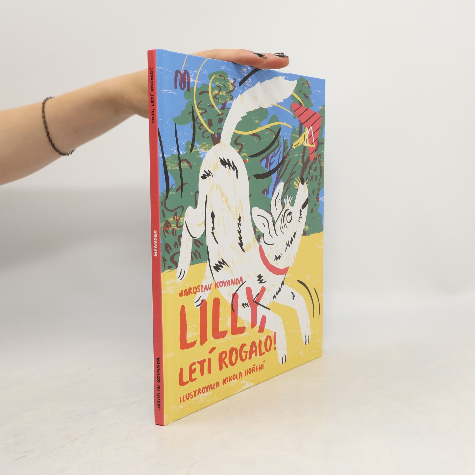 Jaroslav Kovanda Lilly, letí rogalo!