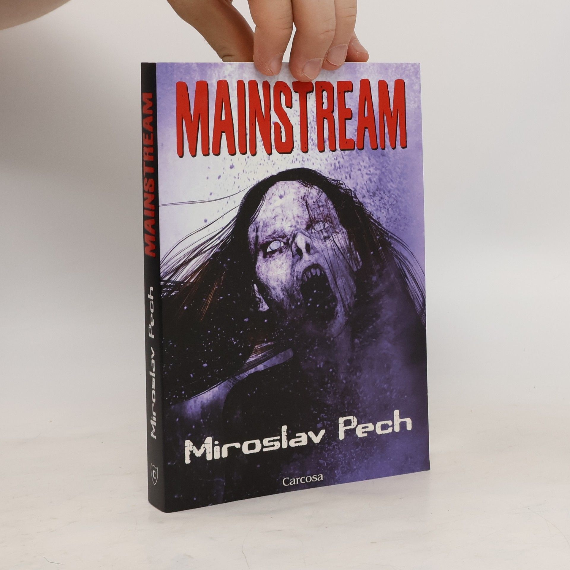 Miroslav Pech Mainstream
