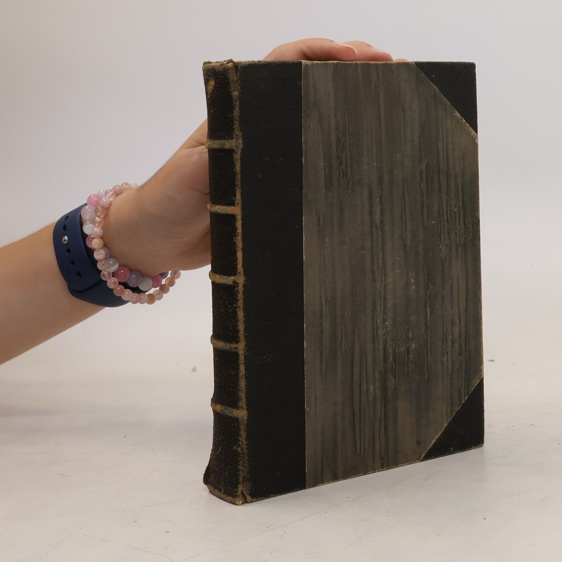 J. B. Webb Naomi oder die letzten Tage von Jerusalem