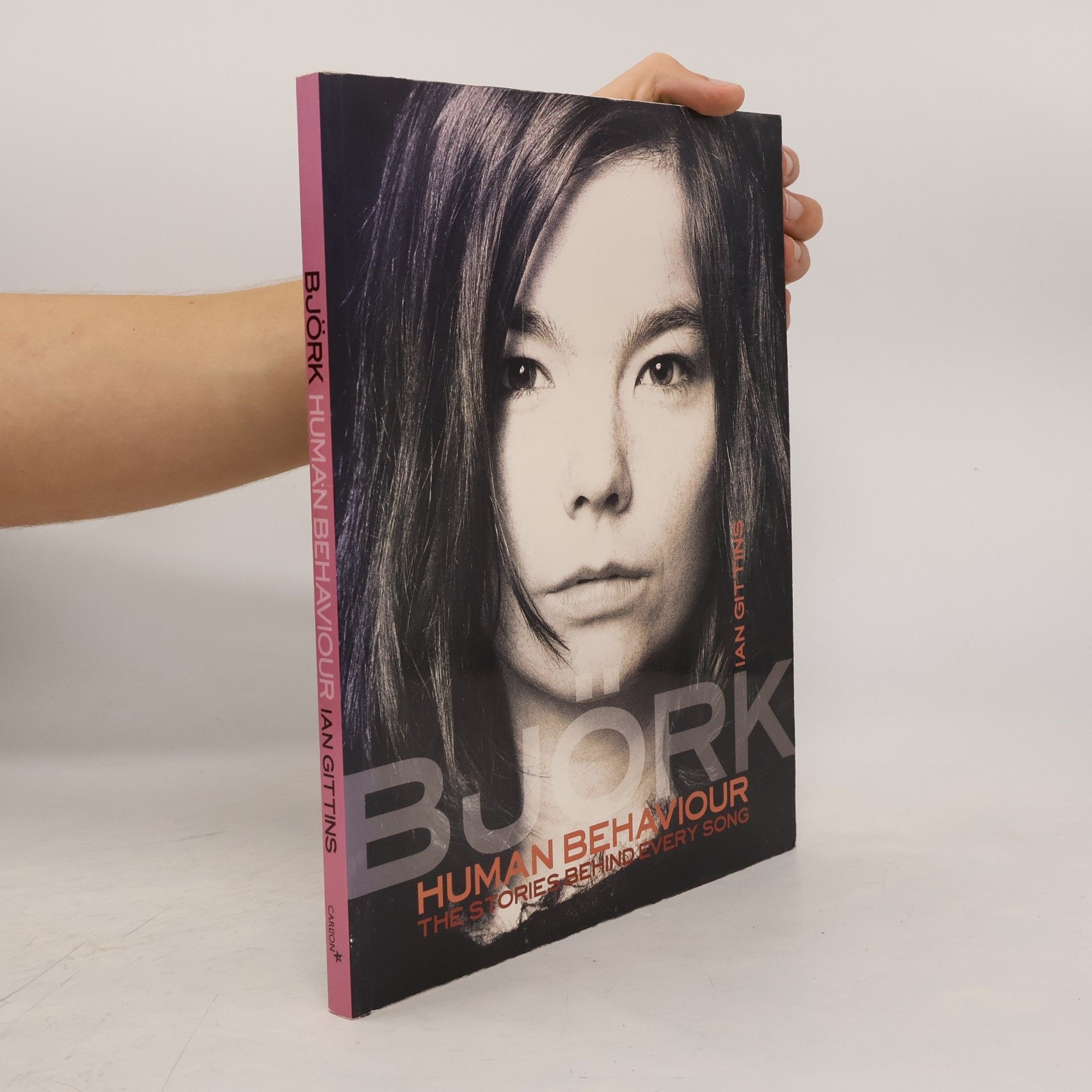 Ian Gittins Björk