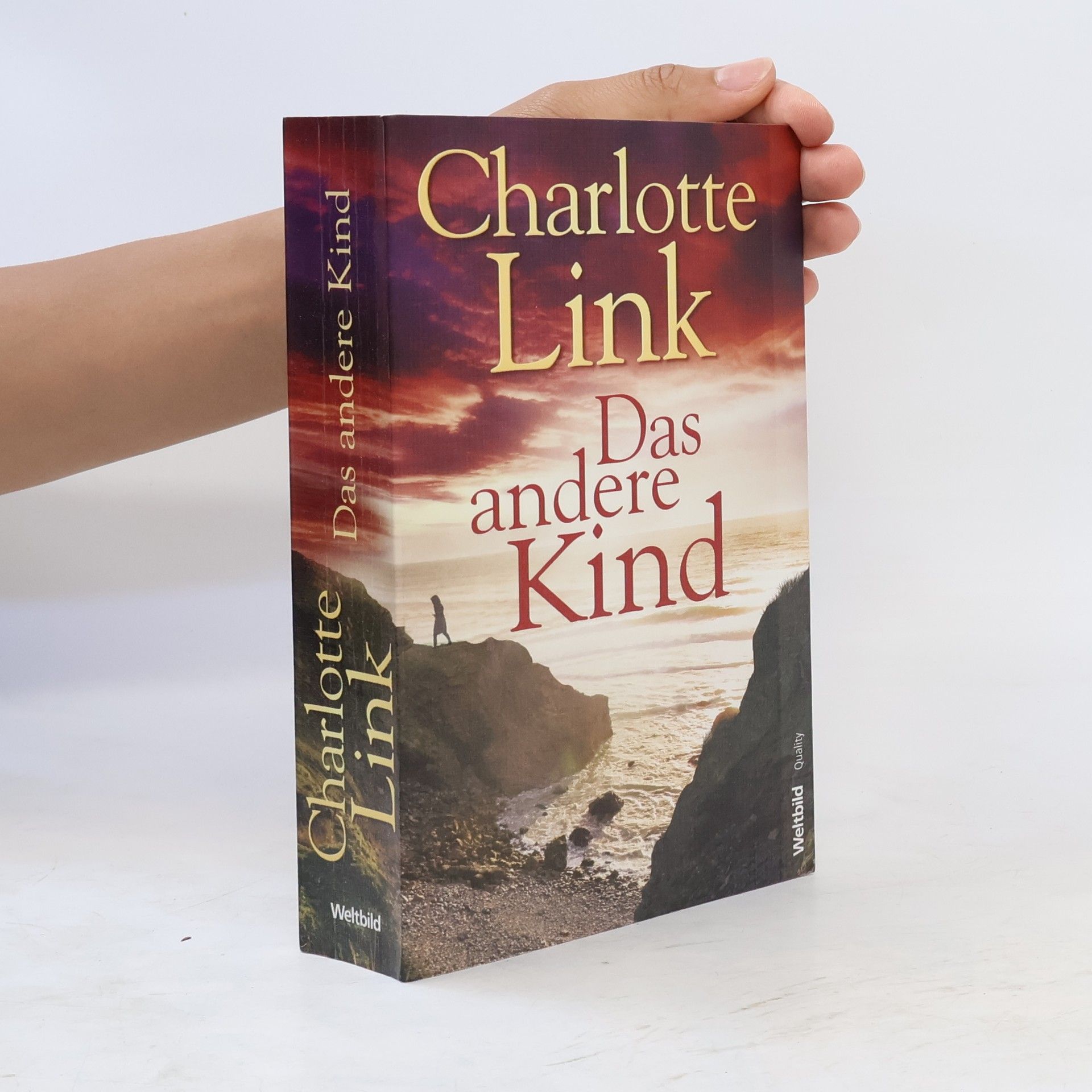 Charlotte Link Das andere Kind