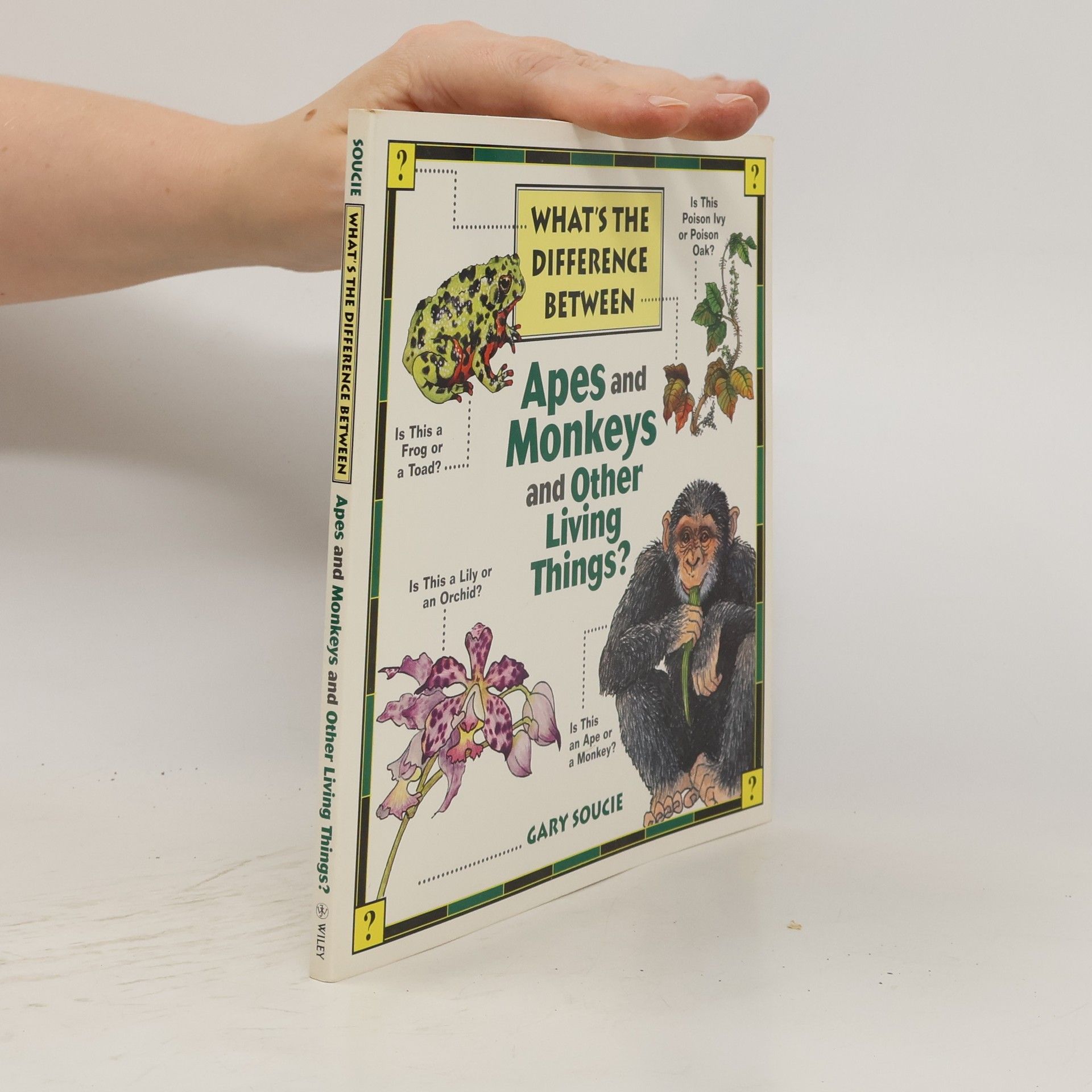 Gary Soucie What's the difference between apes and monkeys and other living things?
