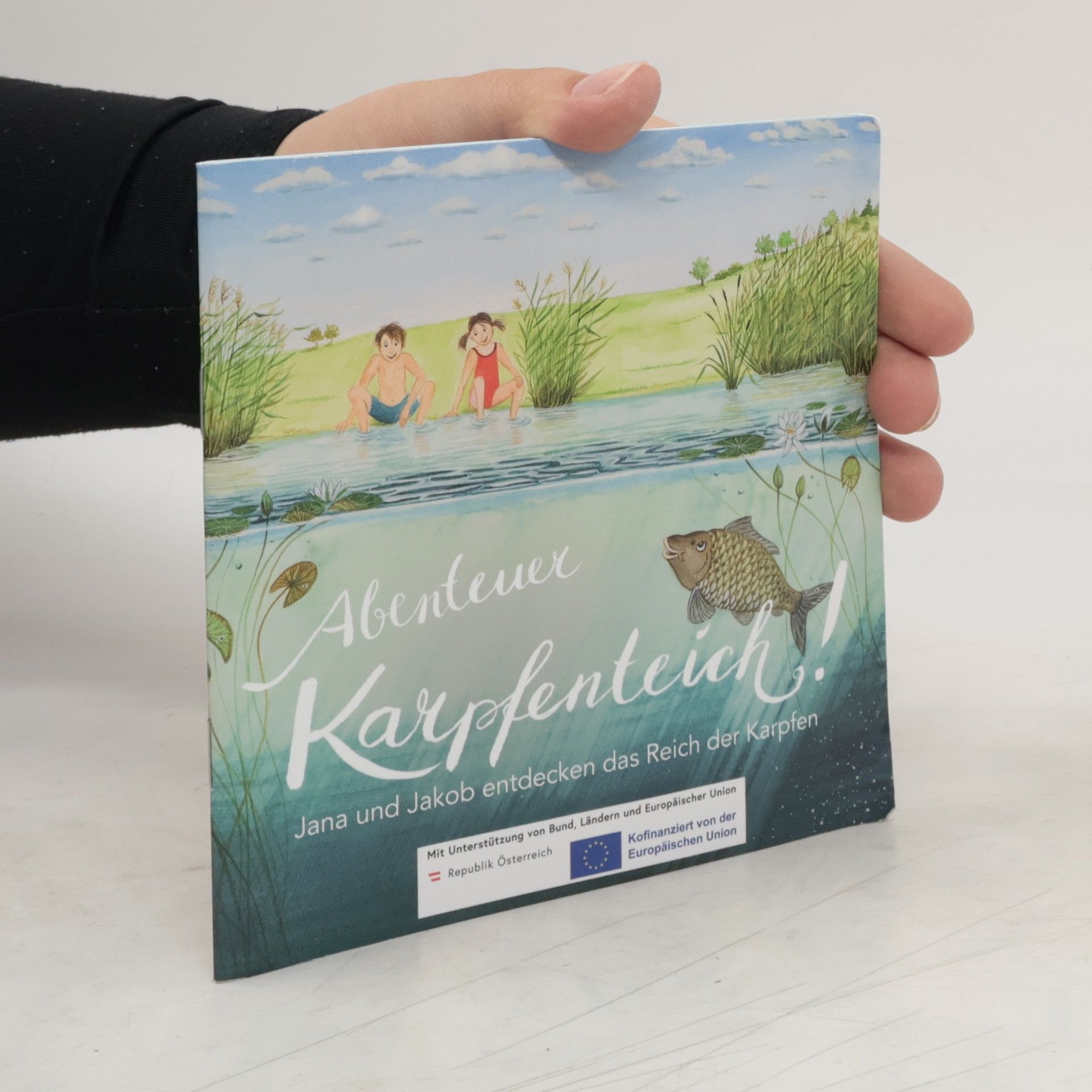 kolektiv Abenteuer Karpfenteich!