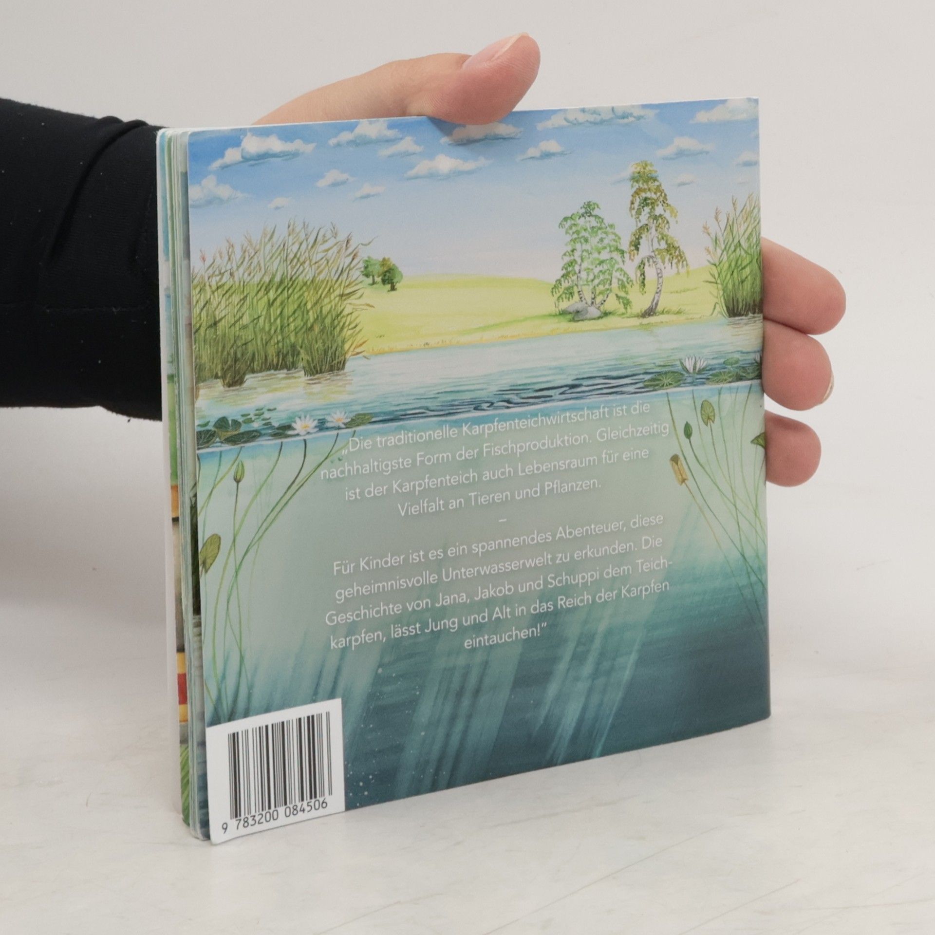 kolektiv Abenteuer Karpfenteich!