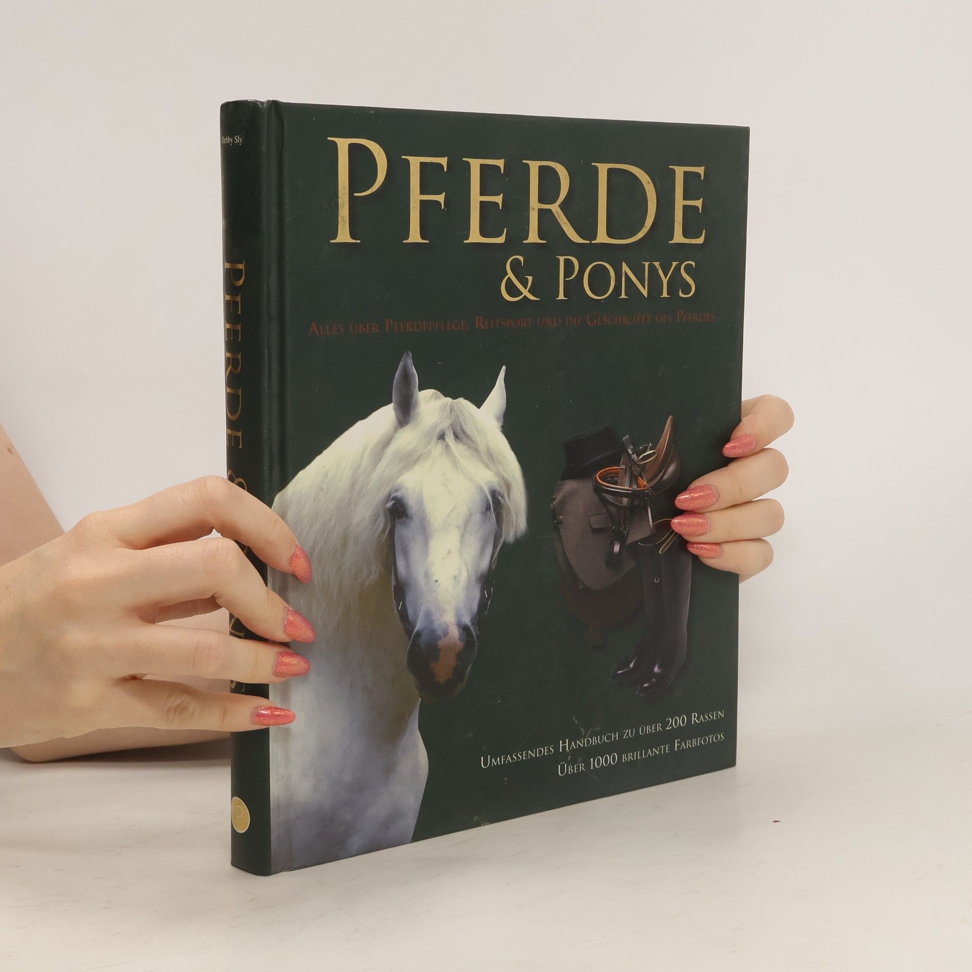 kolektiv Pferde & Ponys
