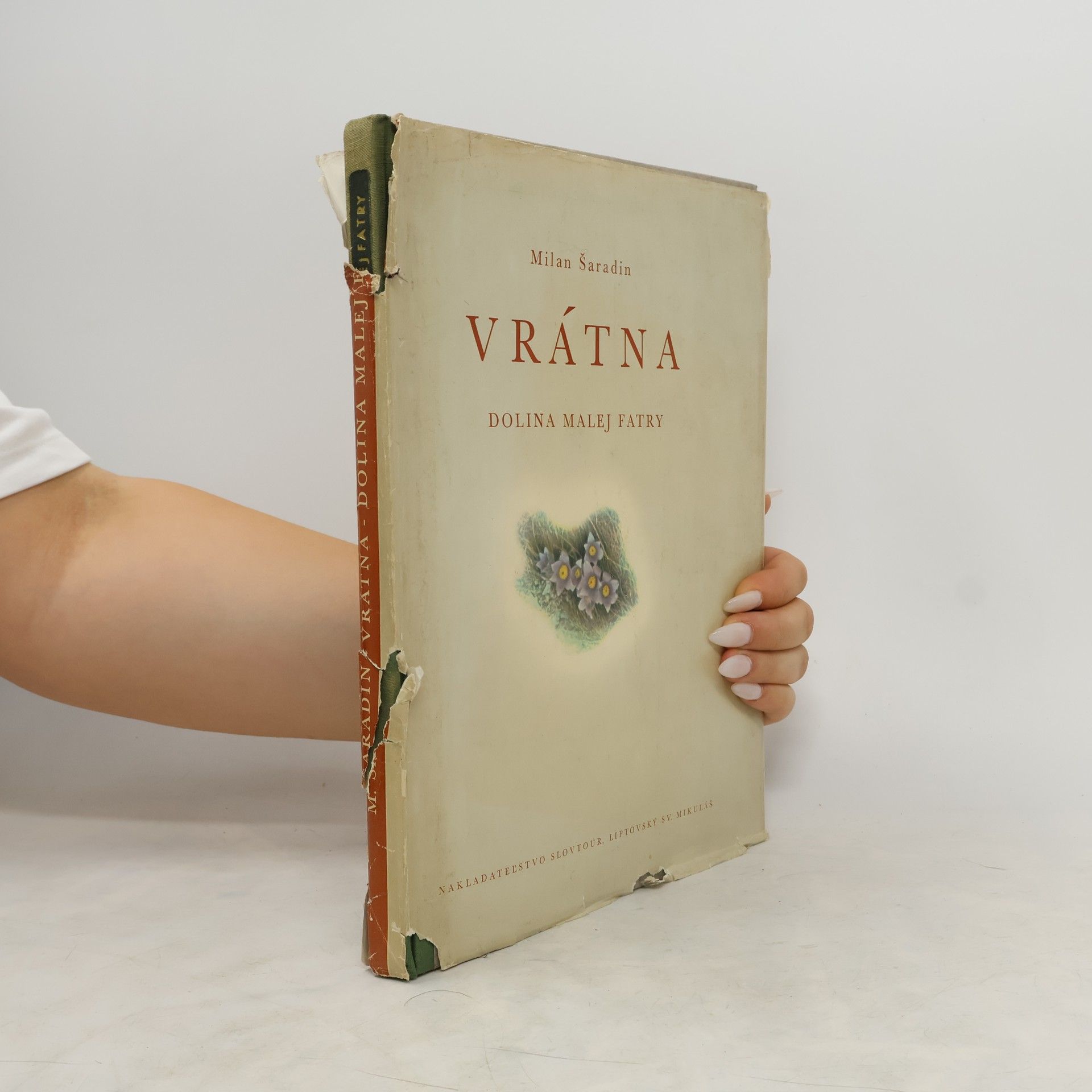 Milan Šaradin Vrátna. Dolina Malej Fatry