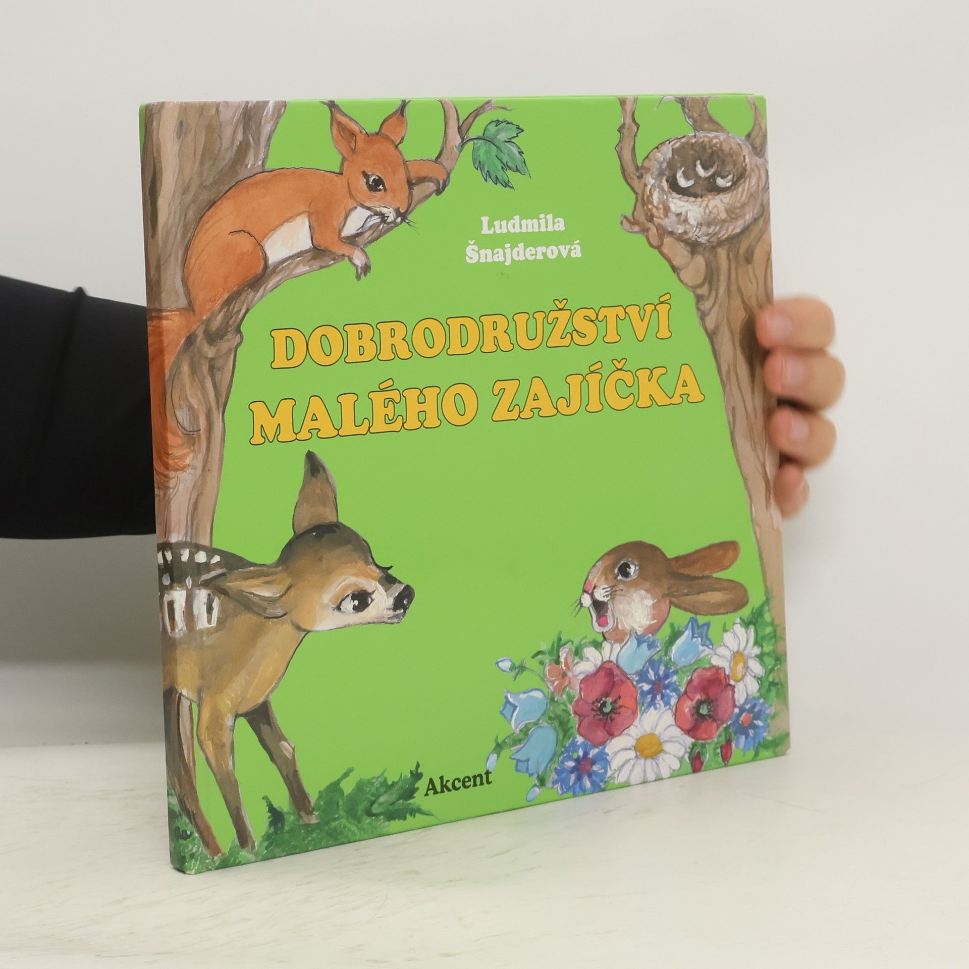 Ludmila Šnajderová Dobrodružství malého zajíčka