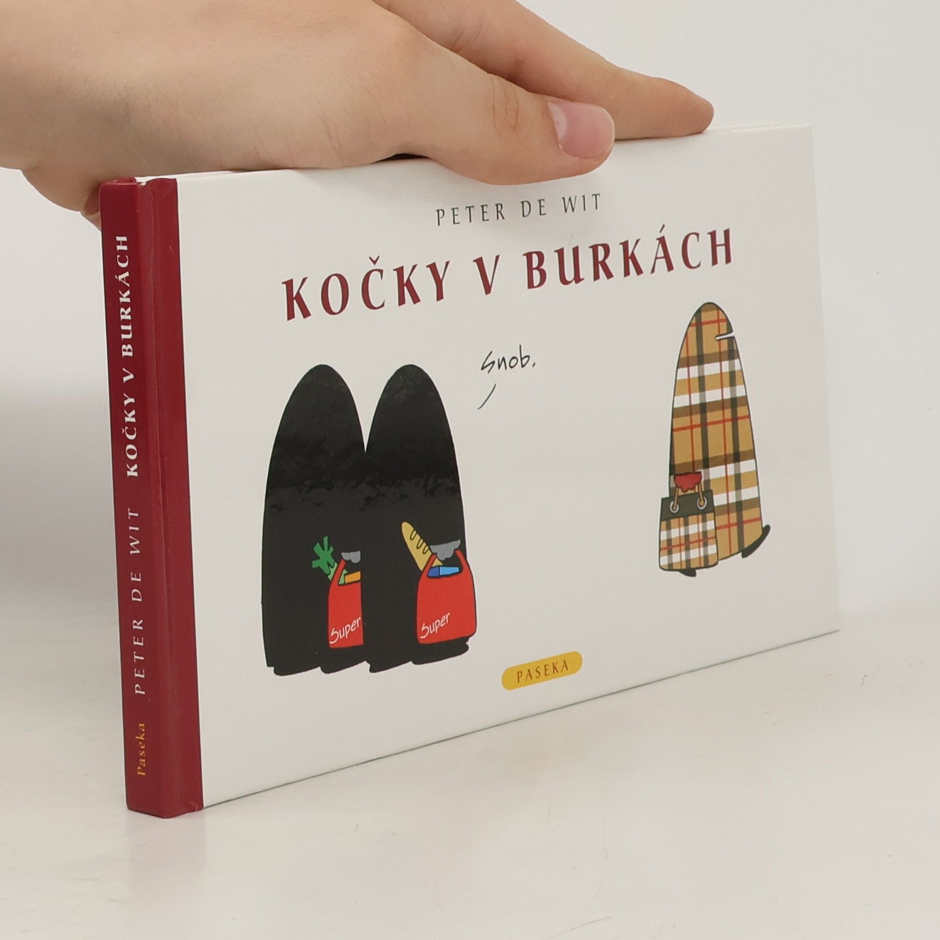 Peter de Wit Kočky v burkách