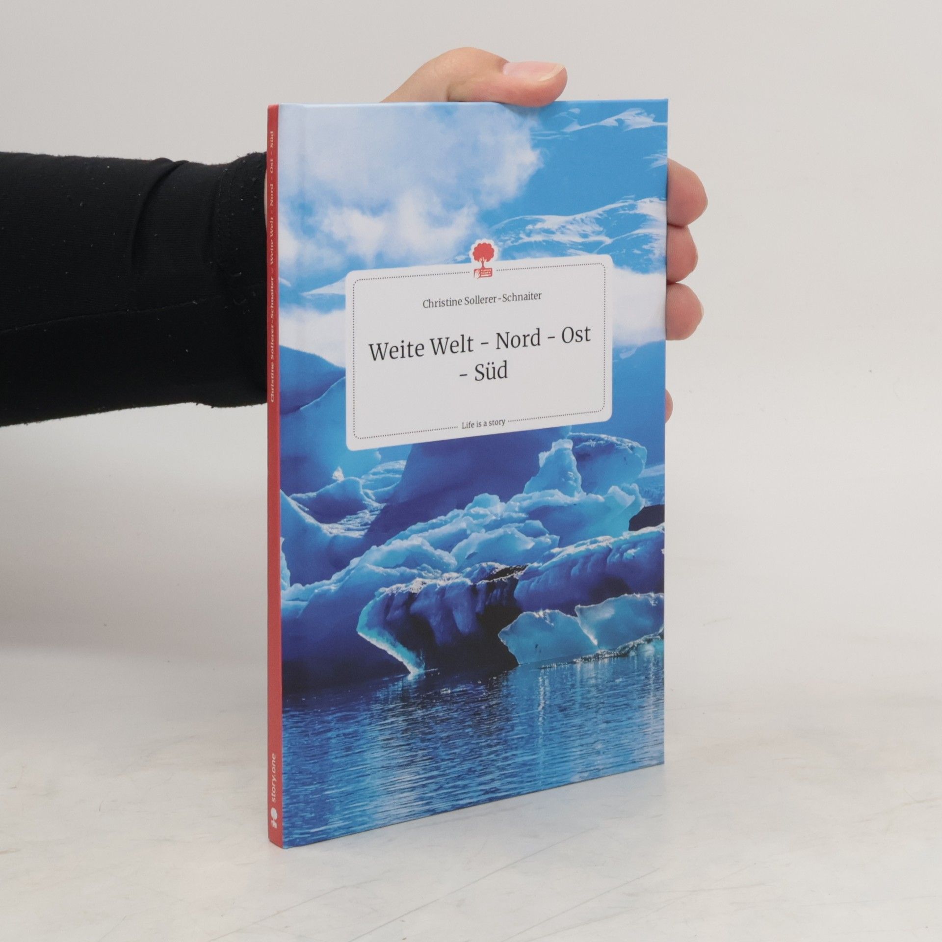 Christine Sollerer-Schnaiter Weite Welt - Nord - Ost - Süd. Life is a Story - story.one
