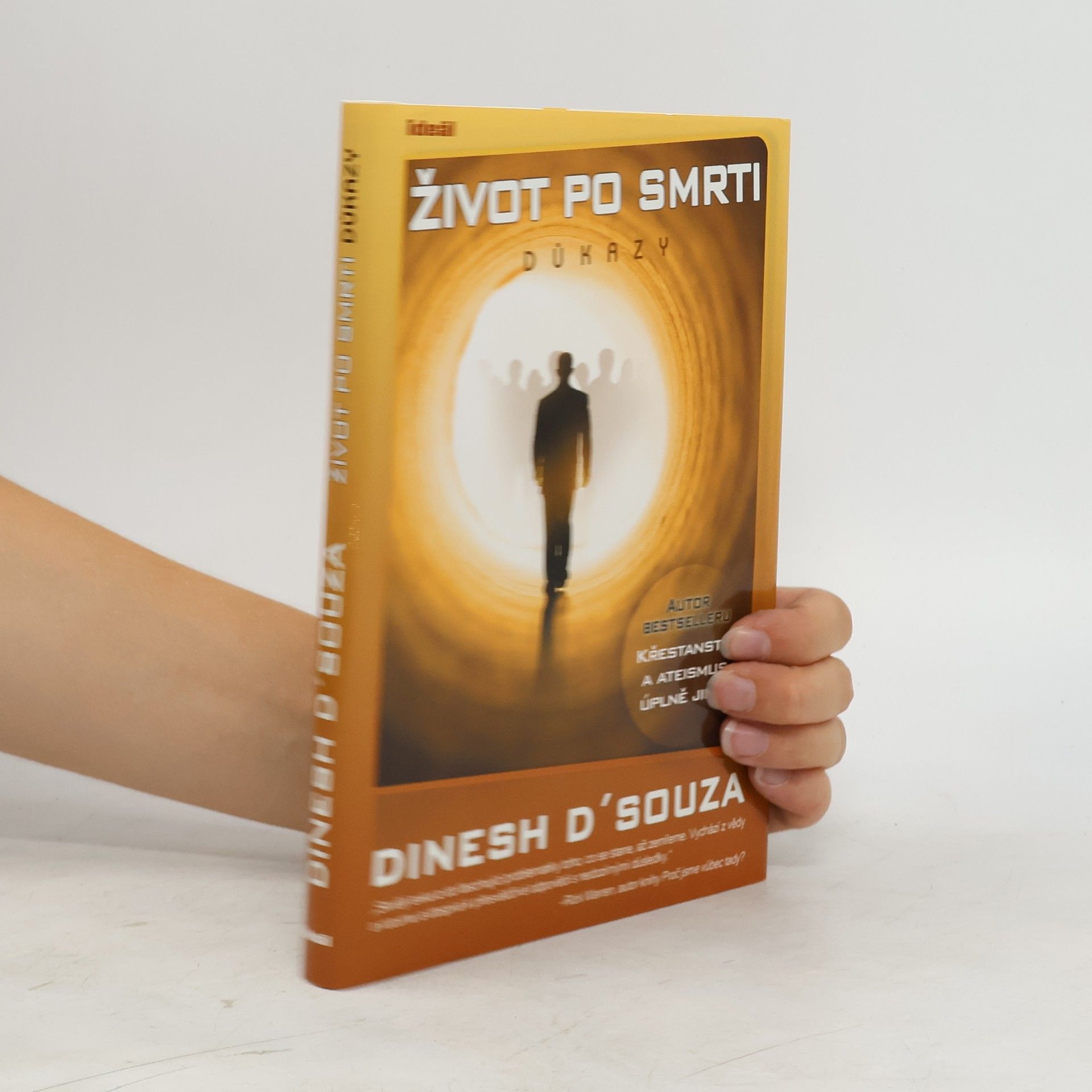 Dinesh D. Souza Život po smrti