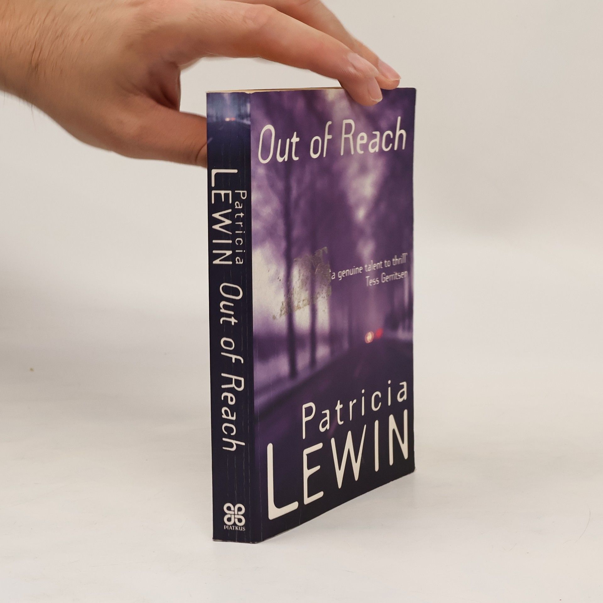 Patricia Lewin Out of Reach