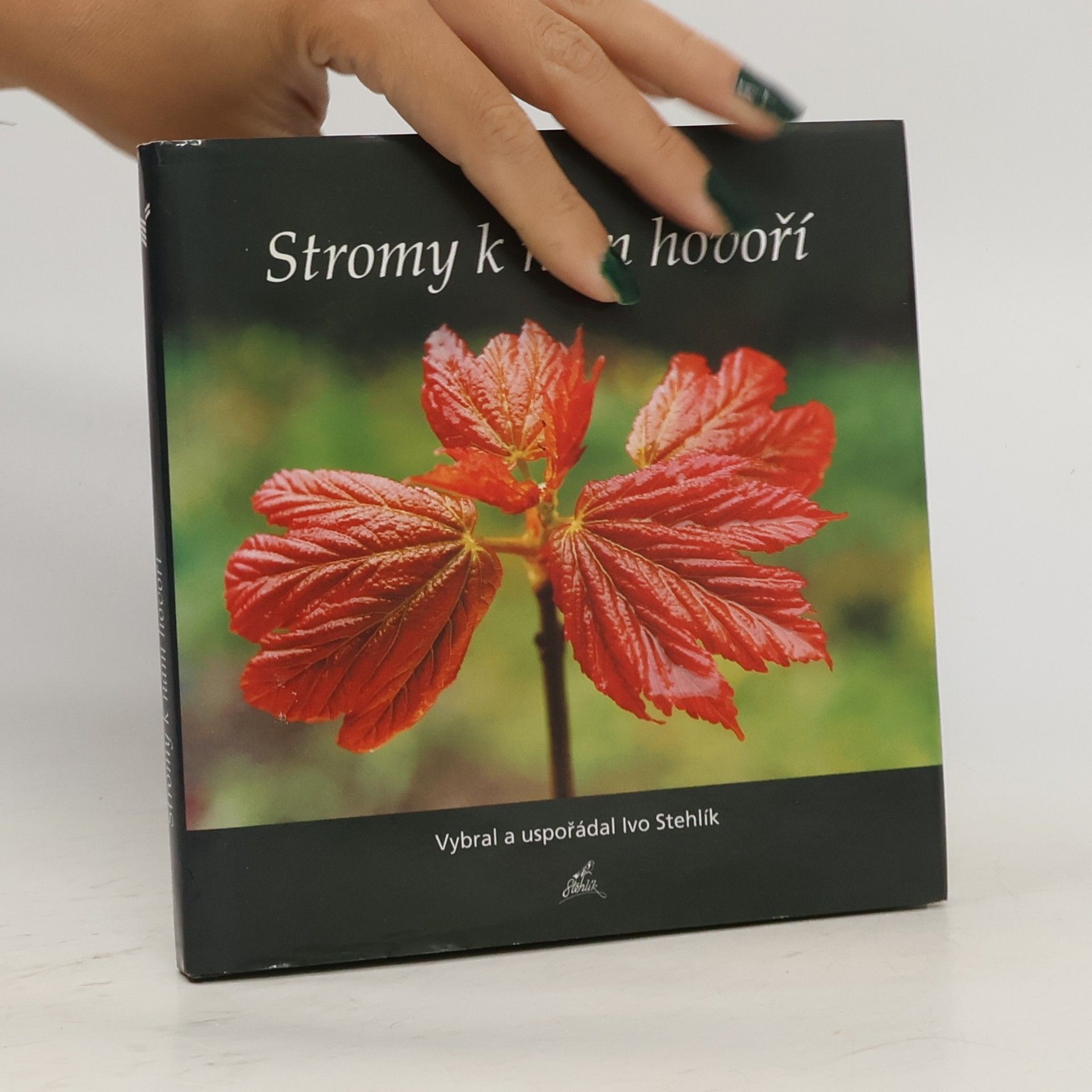 Ivo Stehlík Stromy k nám hovoří