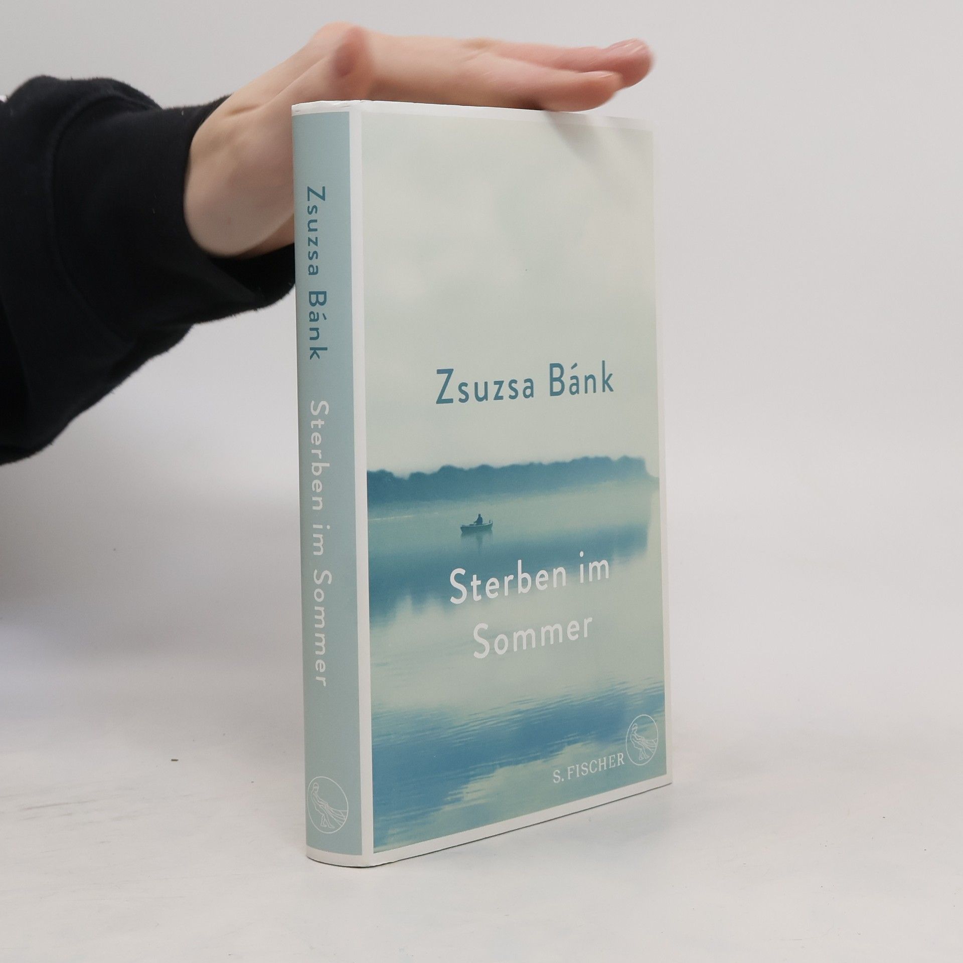 Zsuzsa Bánk Sterben im Sommer