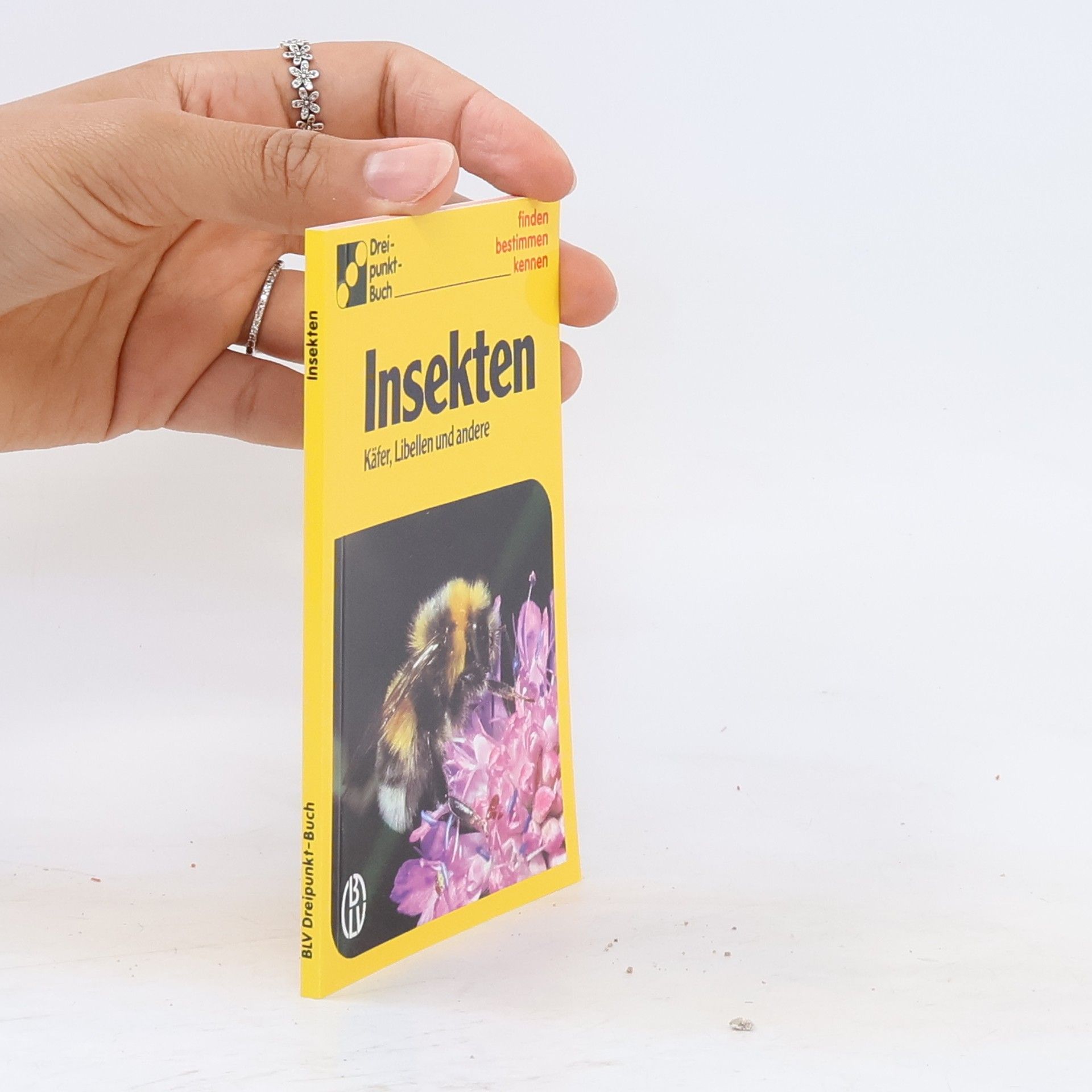 Autorenkollektiv Insekten