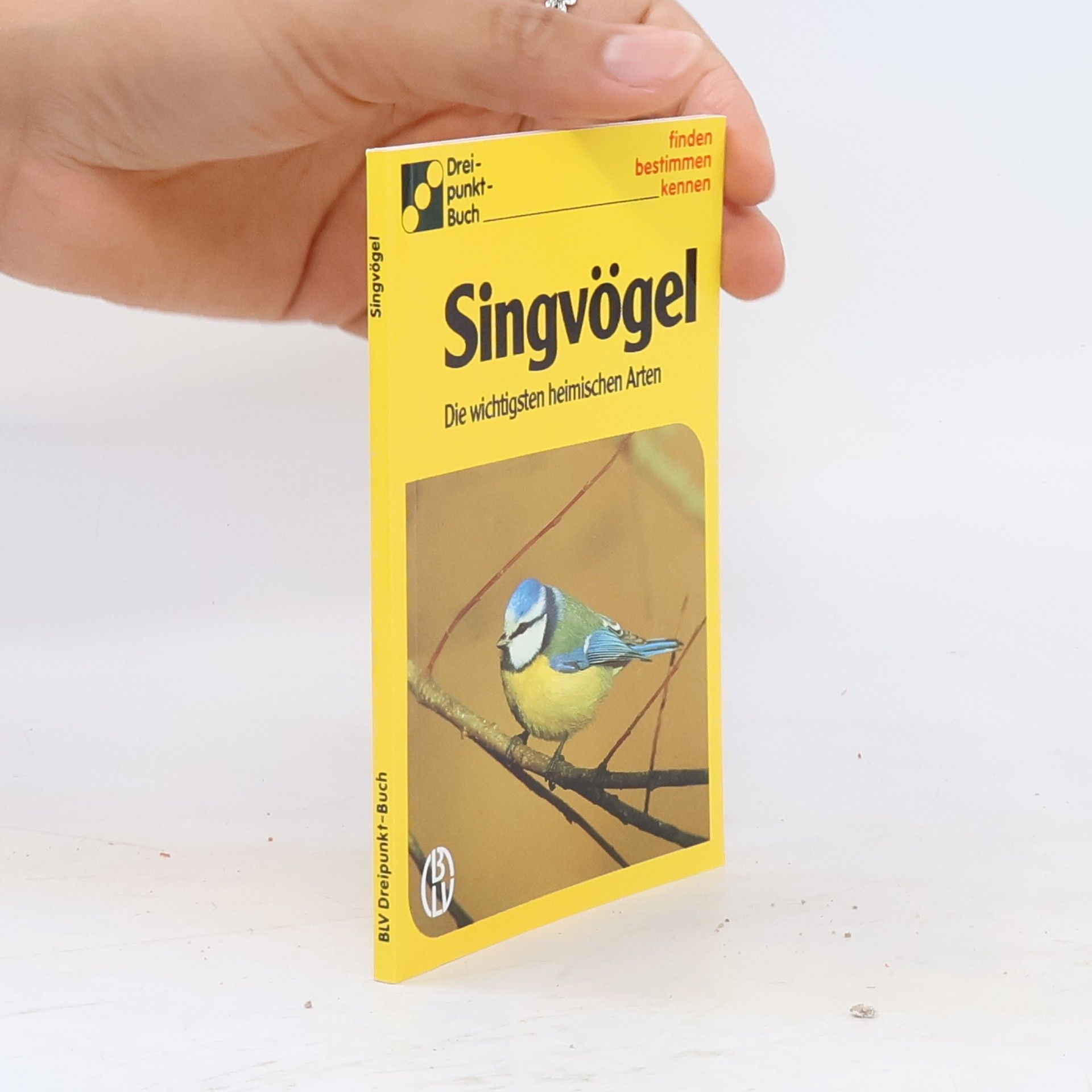 Alfred Handel Singvögel