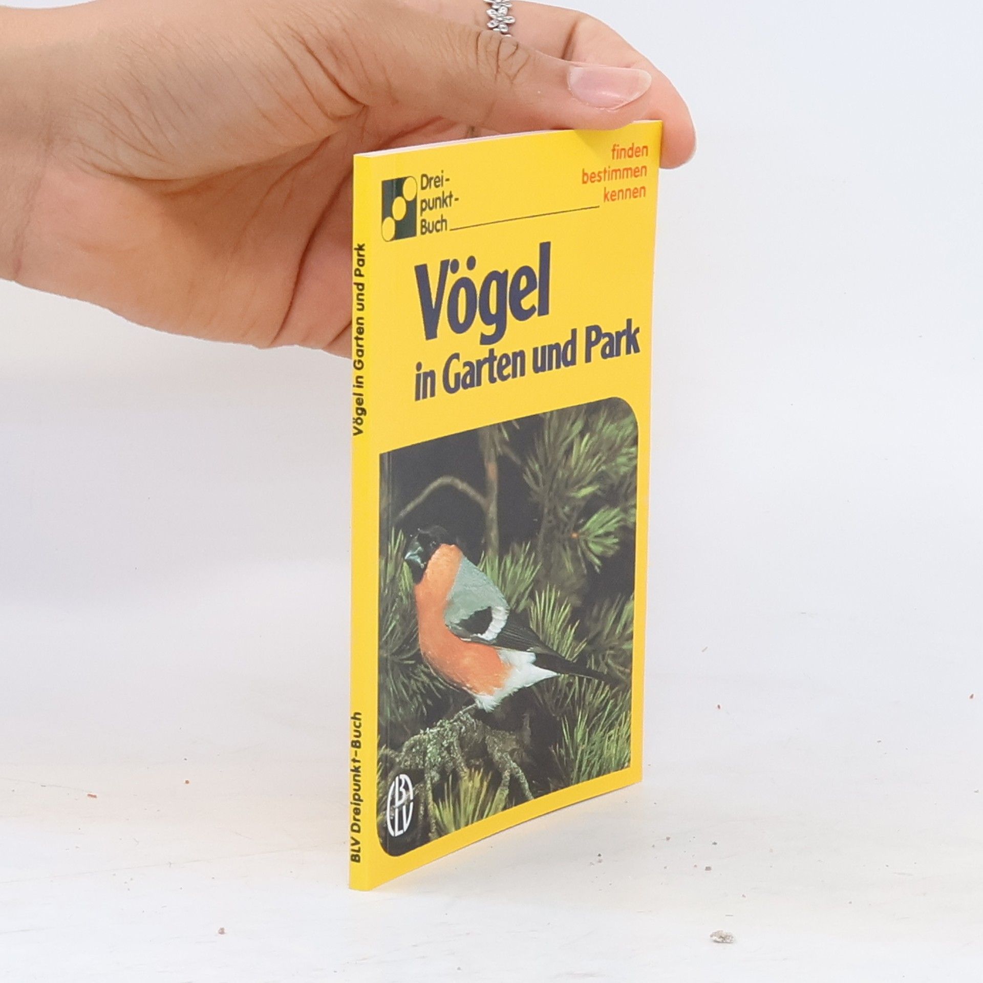 Collective Vögel in Garten und Park
