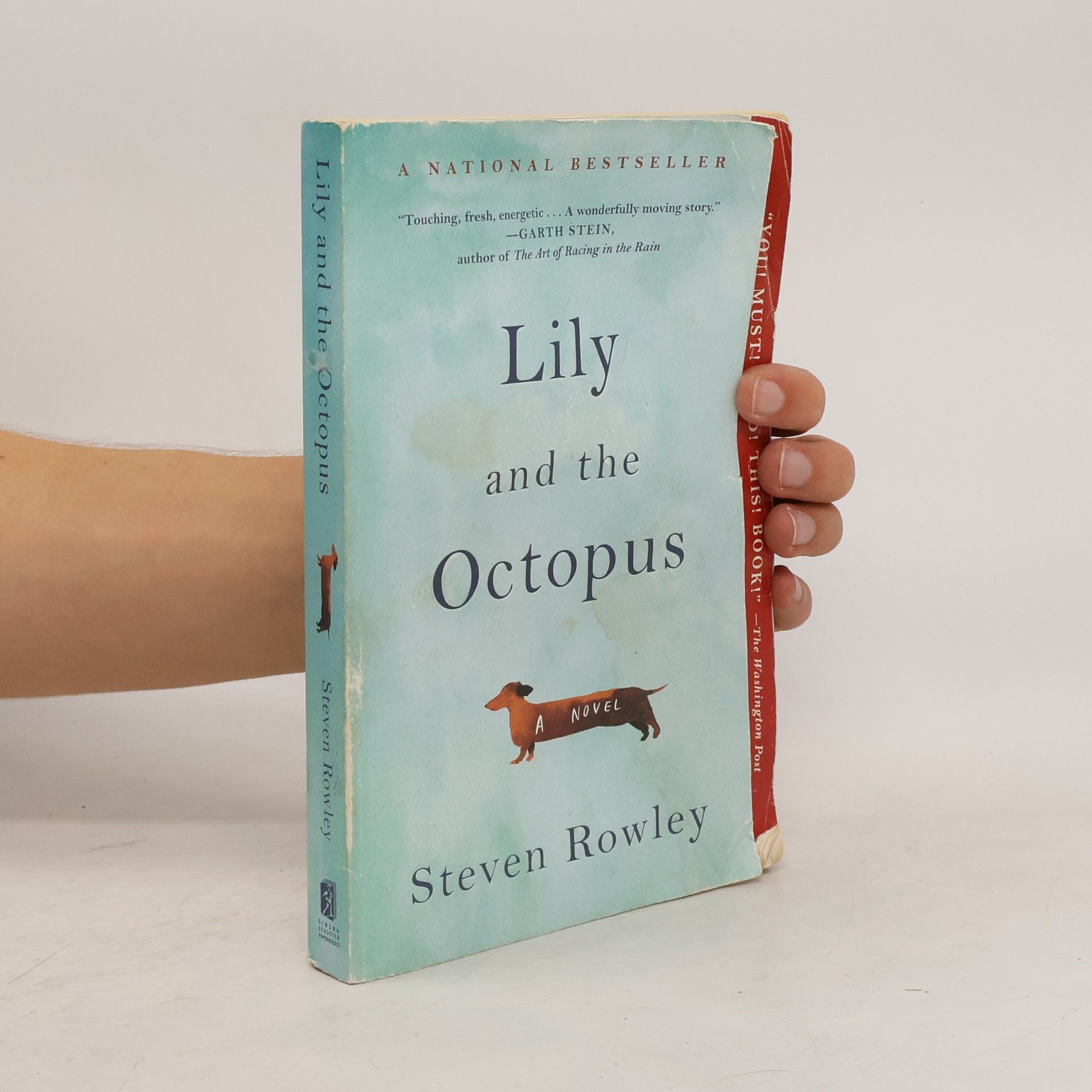 Steven Rowley Lily and the Octopus
