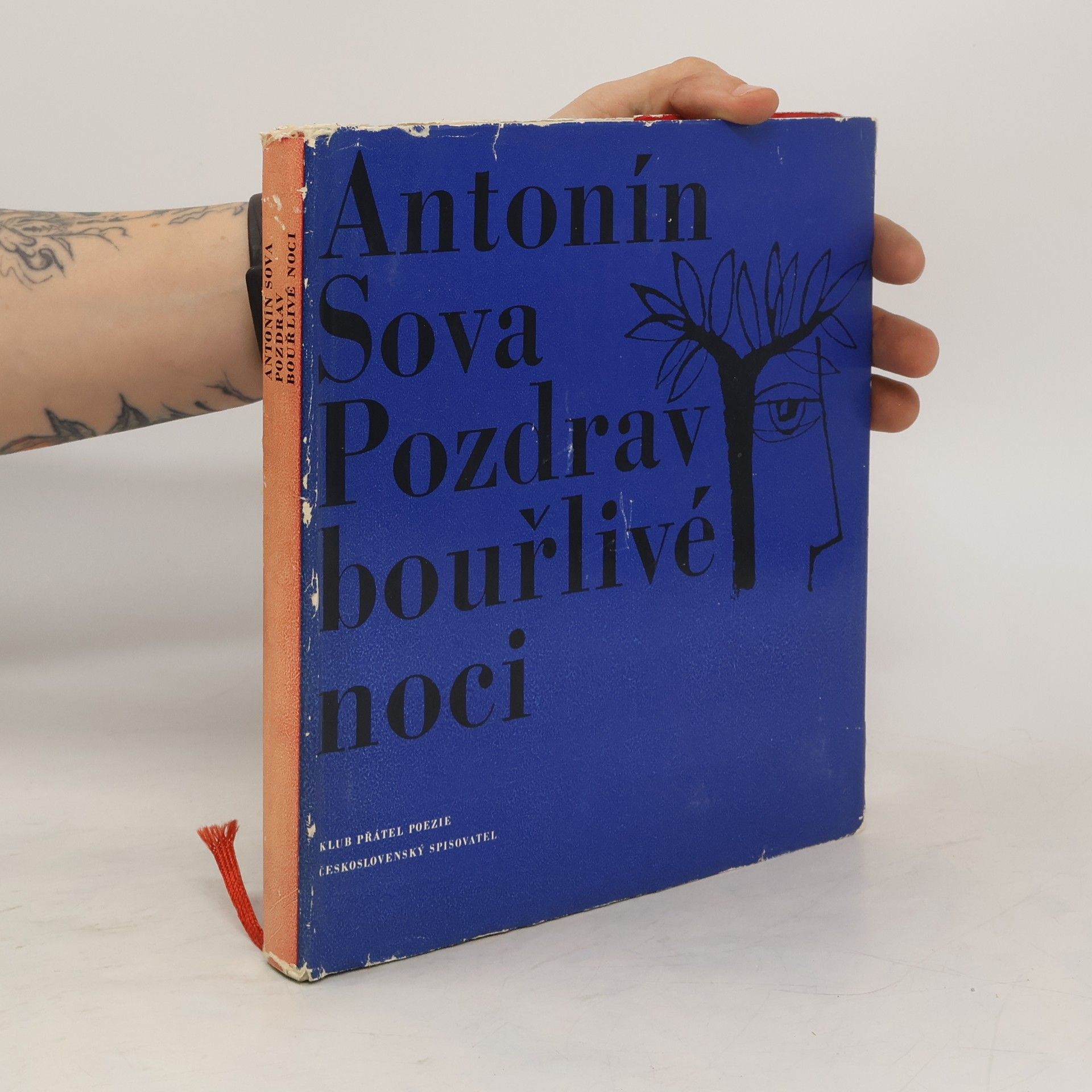 Antonín Sova Pozdrav bouřlivé noci