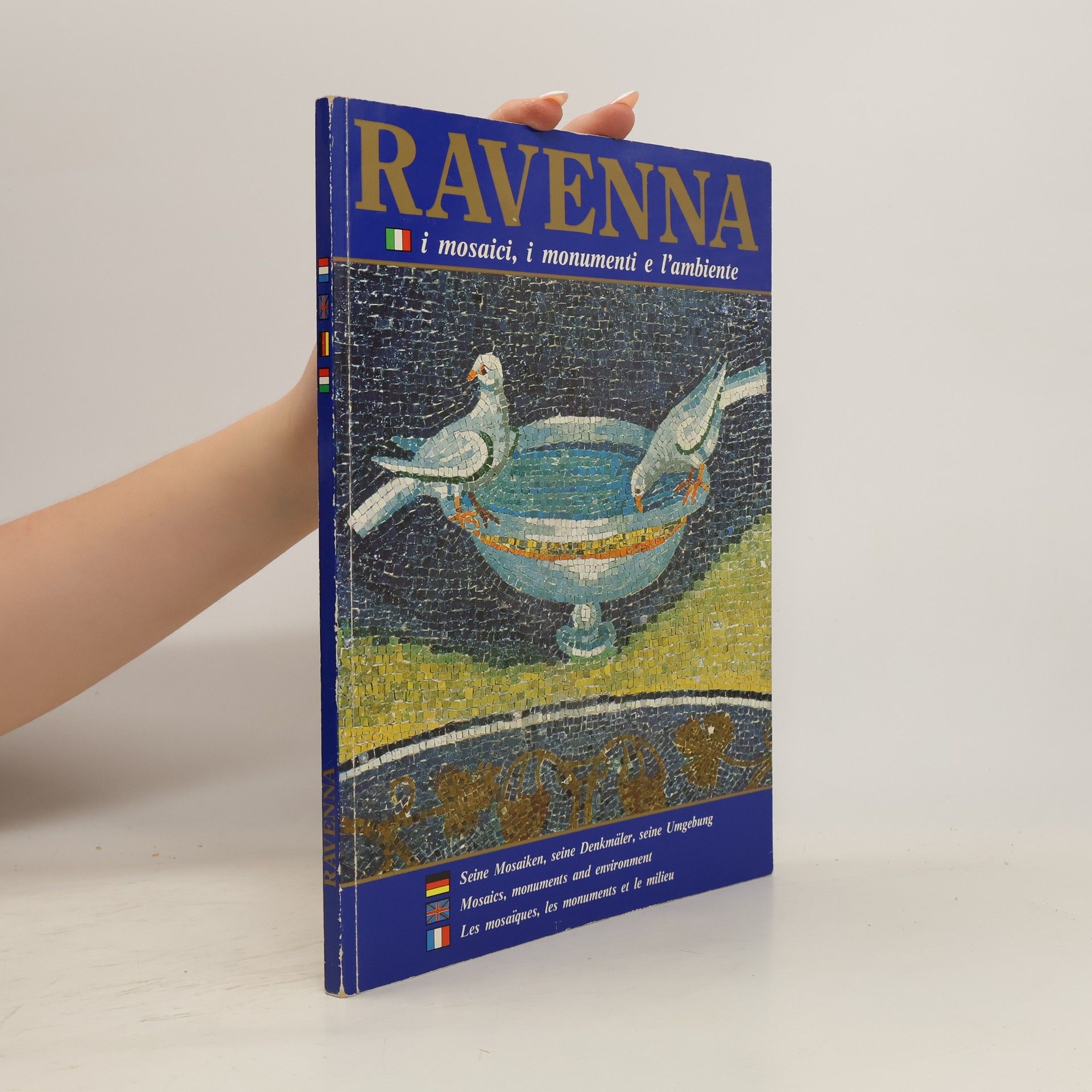 Collective Ravenna. Mosaics, Monuments and Environment