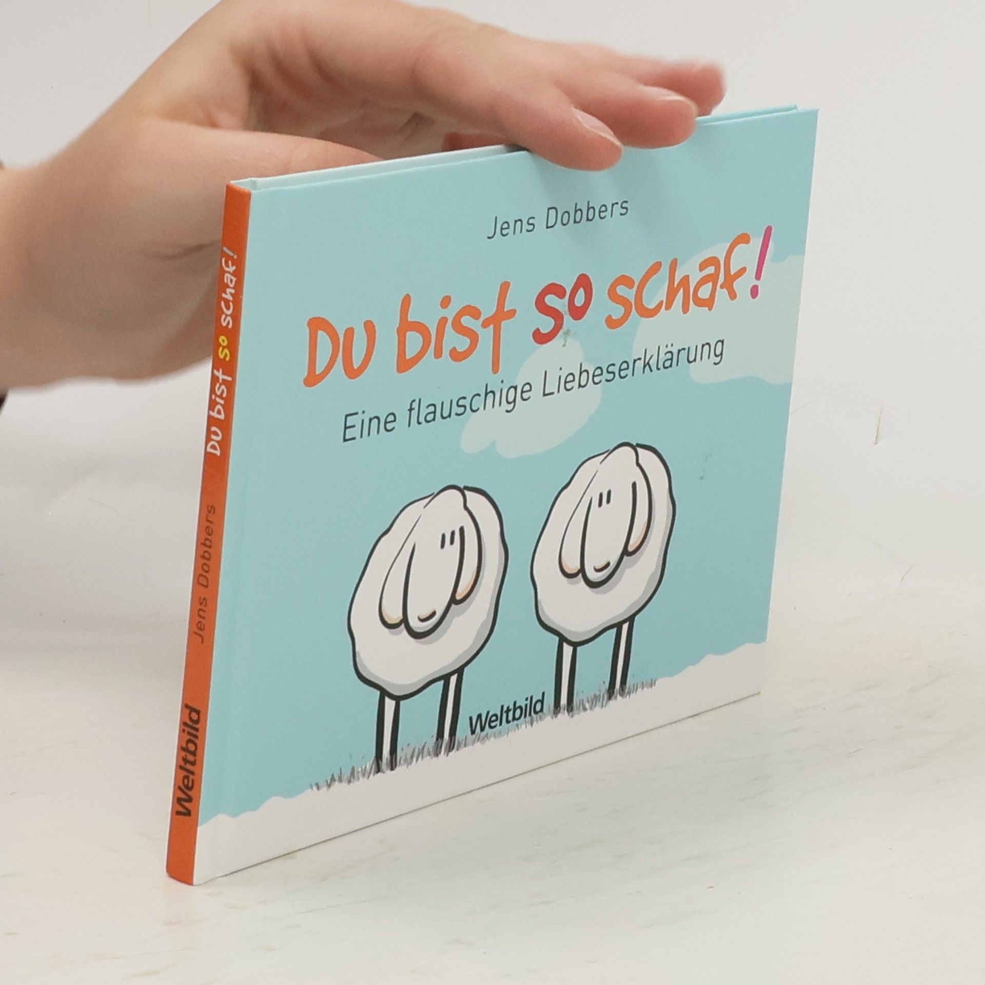 Jens Dobbers Du bist so schaf!